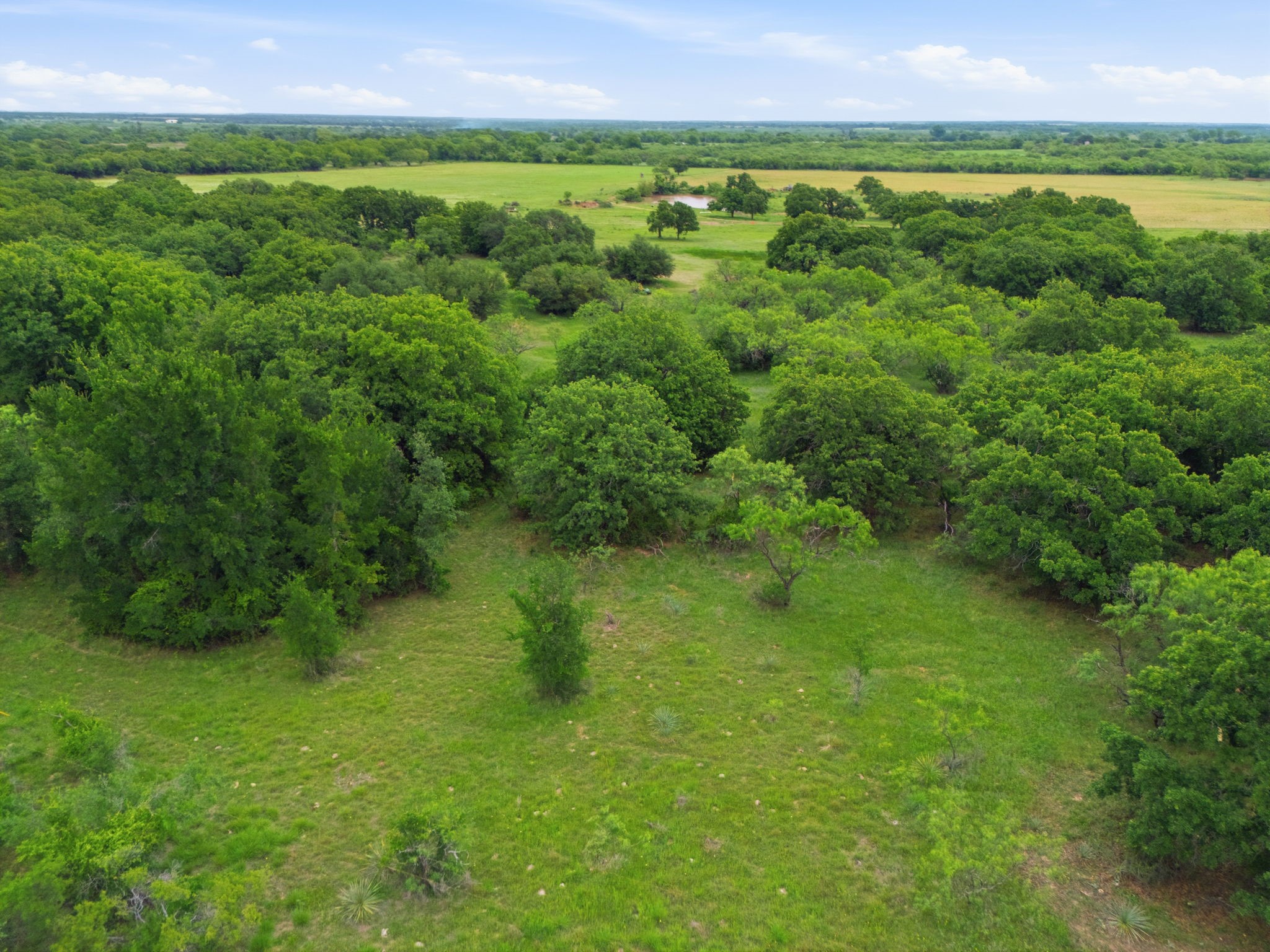 Tbd County Road 225 Rising Star TX 76471
