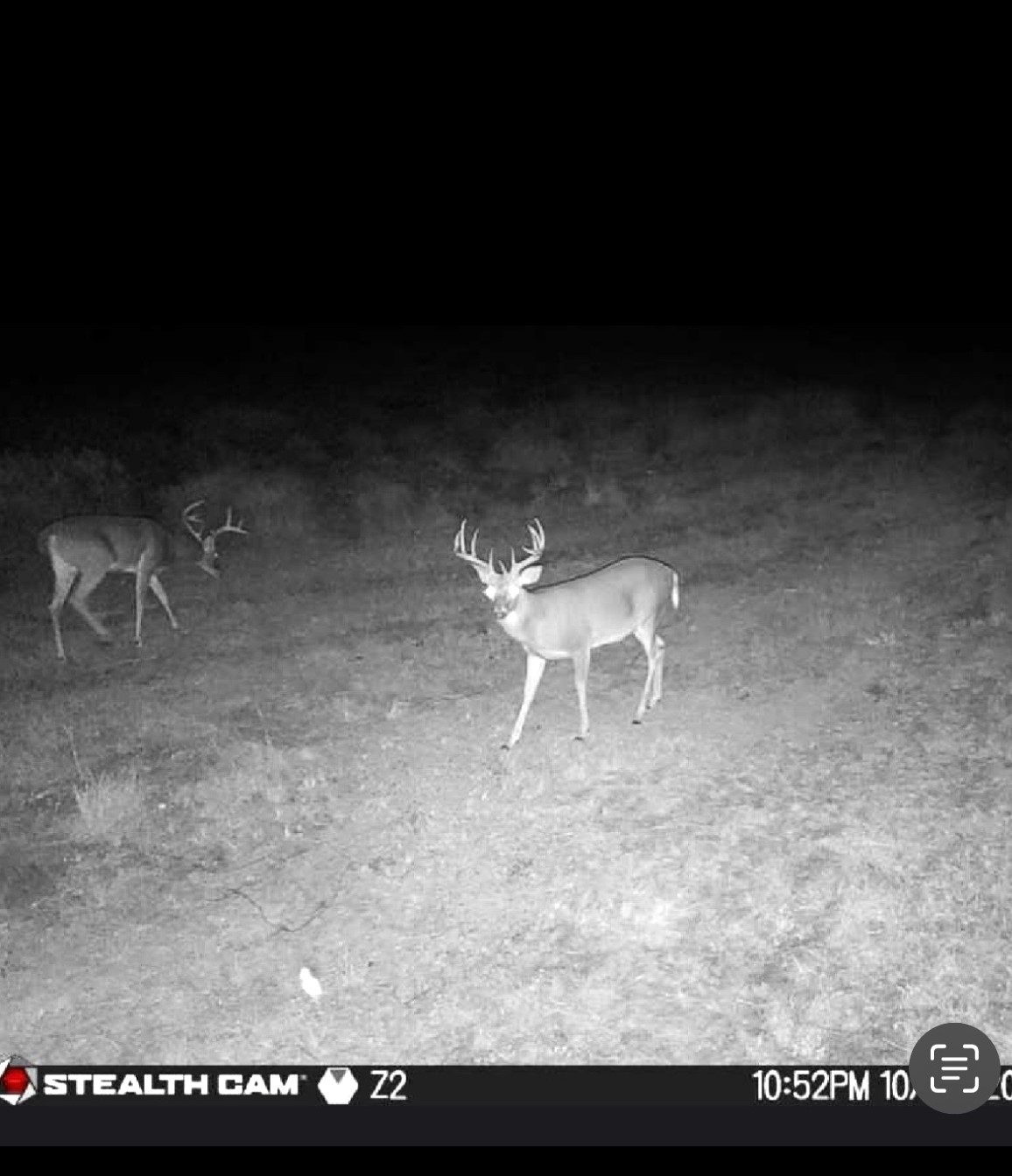 Tbd County Road 225 Rising Star TX 76471