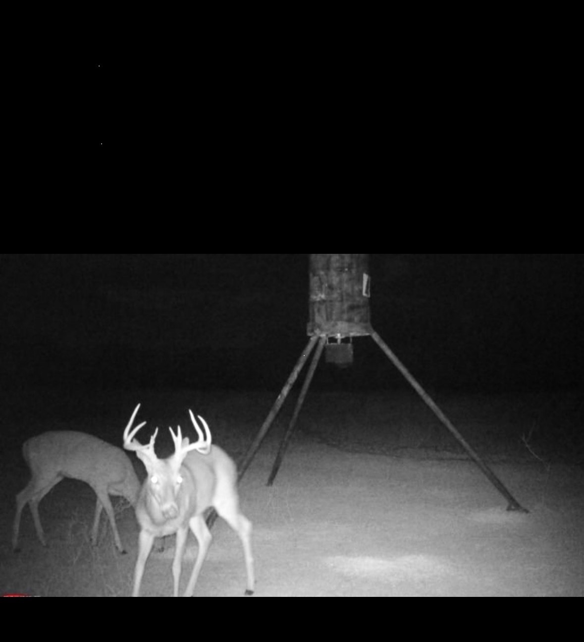 Tbd County Road 225 Rising Star TX 76471
