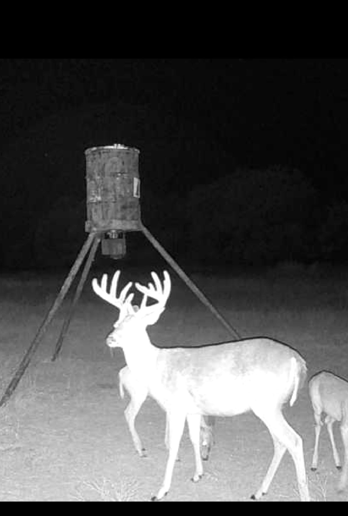 Tbd County Road 225 Rising Star TX 76471