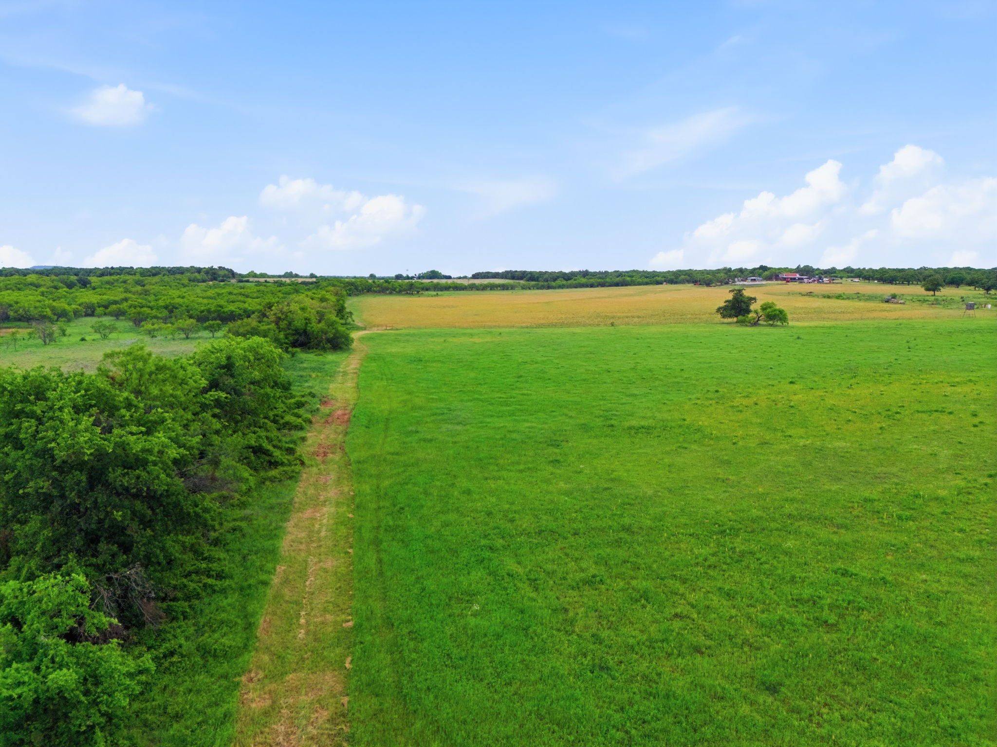 Tbd County Road 225 Rising Star TX 76471