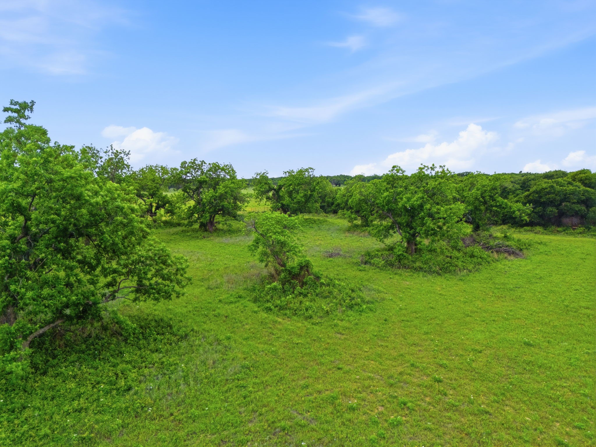 Tbd County Road 225 Rising Star TX 76471