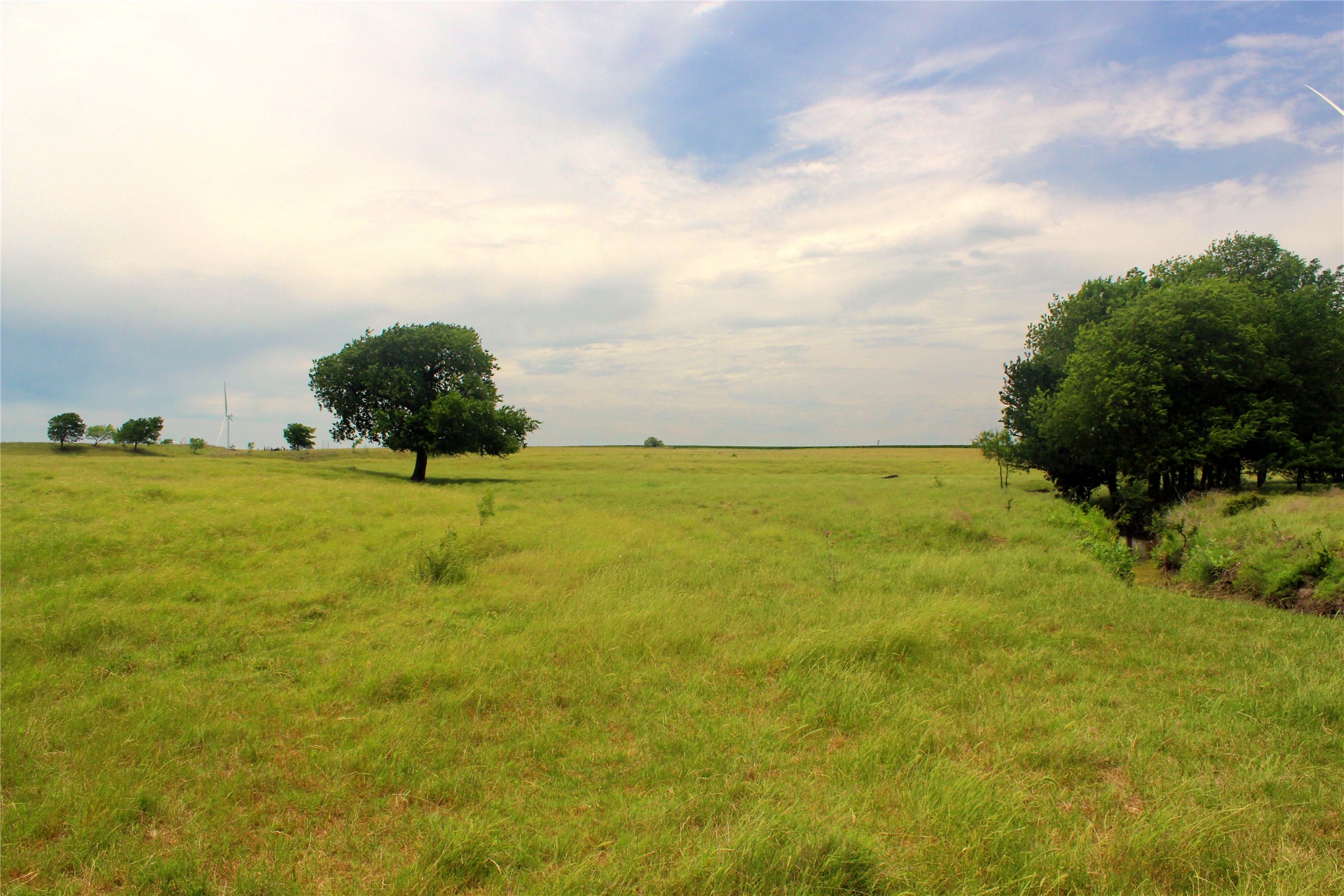 3341 Fm 639 Frost TX 76641