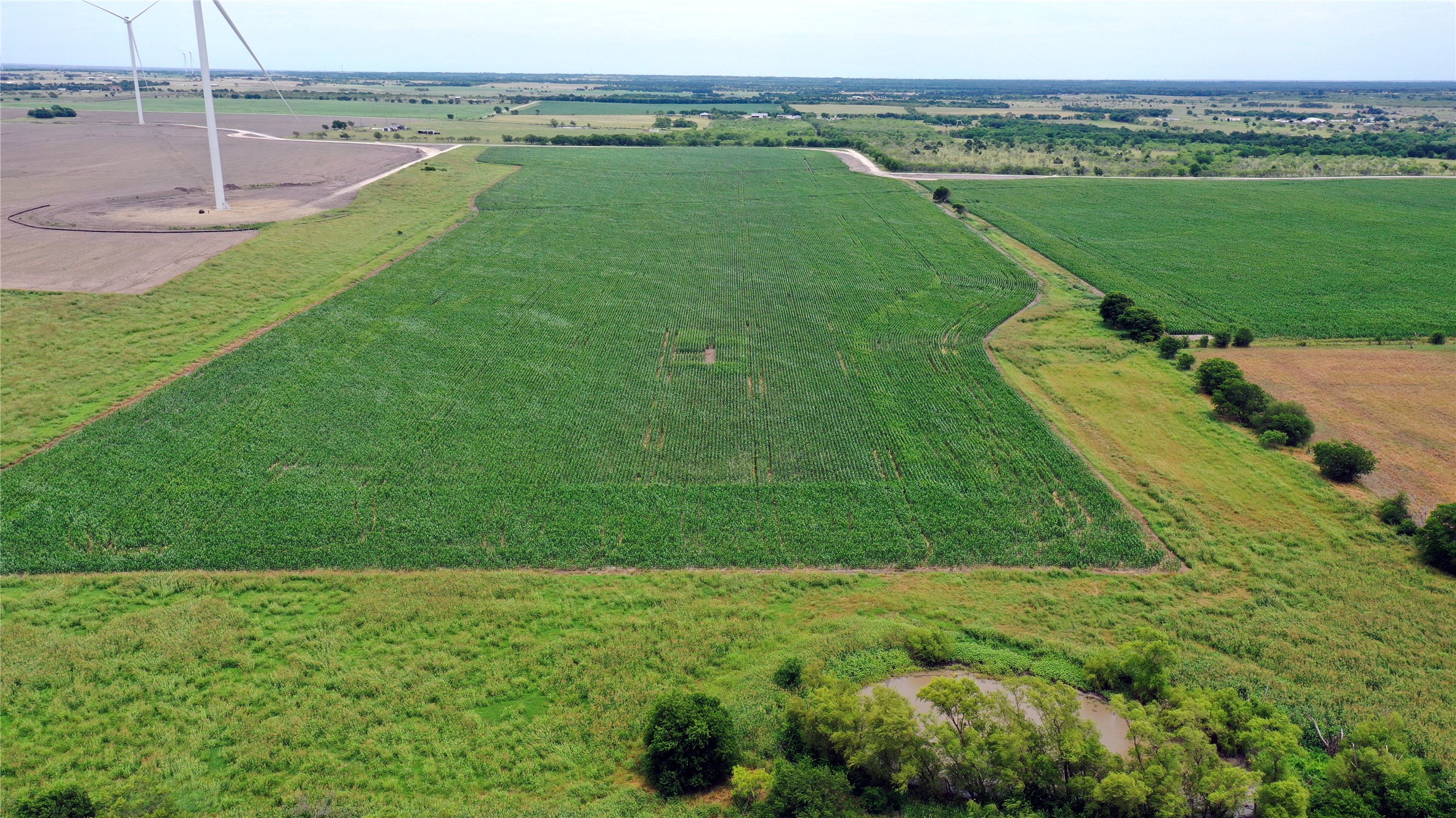 3341 Fm 639 Frost TX 76641