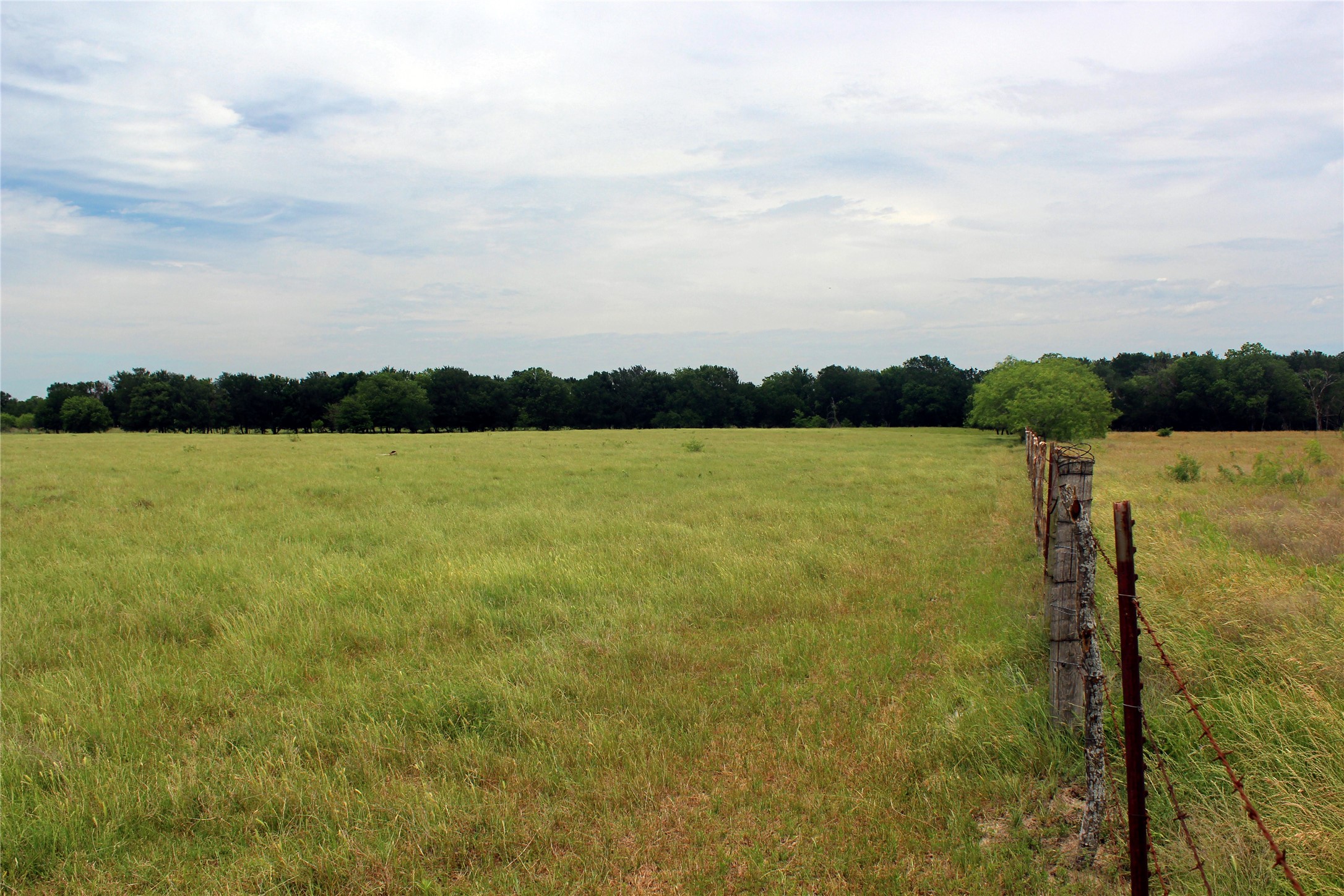 3341 Fm 639 Frost TX 76641
