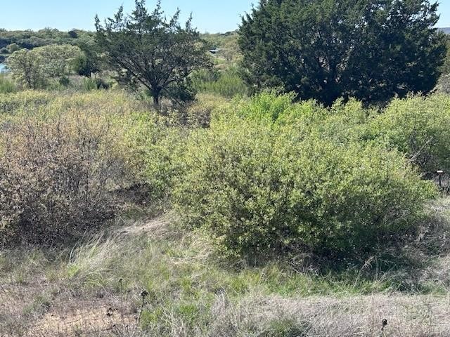 Lot 19 Hidden Shores Drive Cisco TX 76437