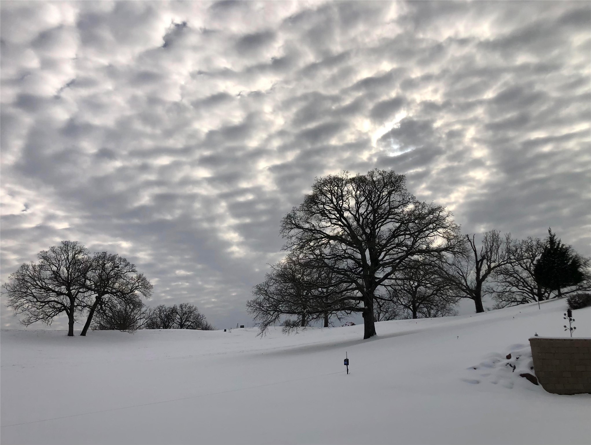 Lot 246 Overlook Point Athens TX 75752