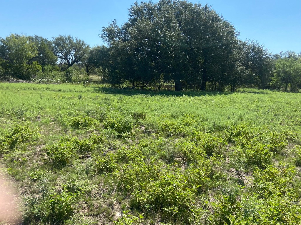 Tbd Fm 3023 Highway S Goldthwaite TX 76844
