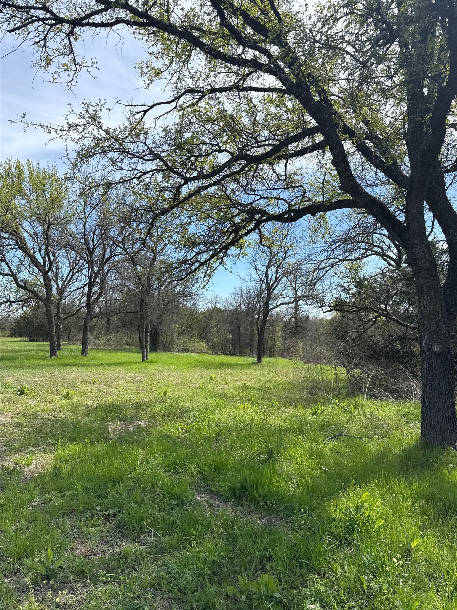 0 S Highway 281 Mineral Wells TX 76067