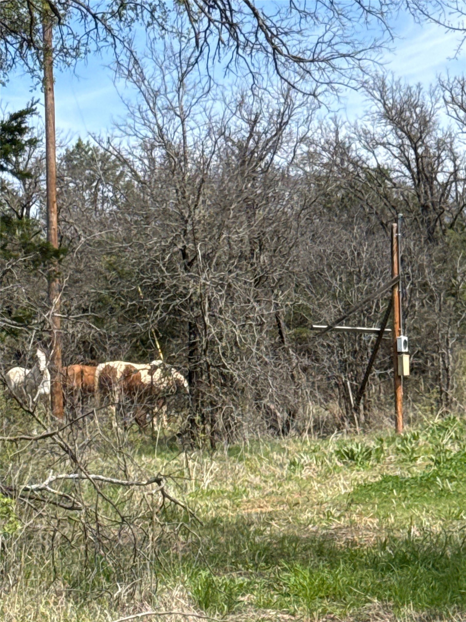 0 S Highway 281 Mineral Wells TX 76067