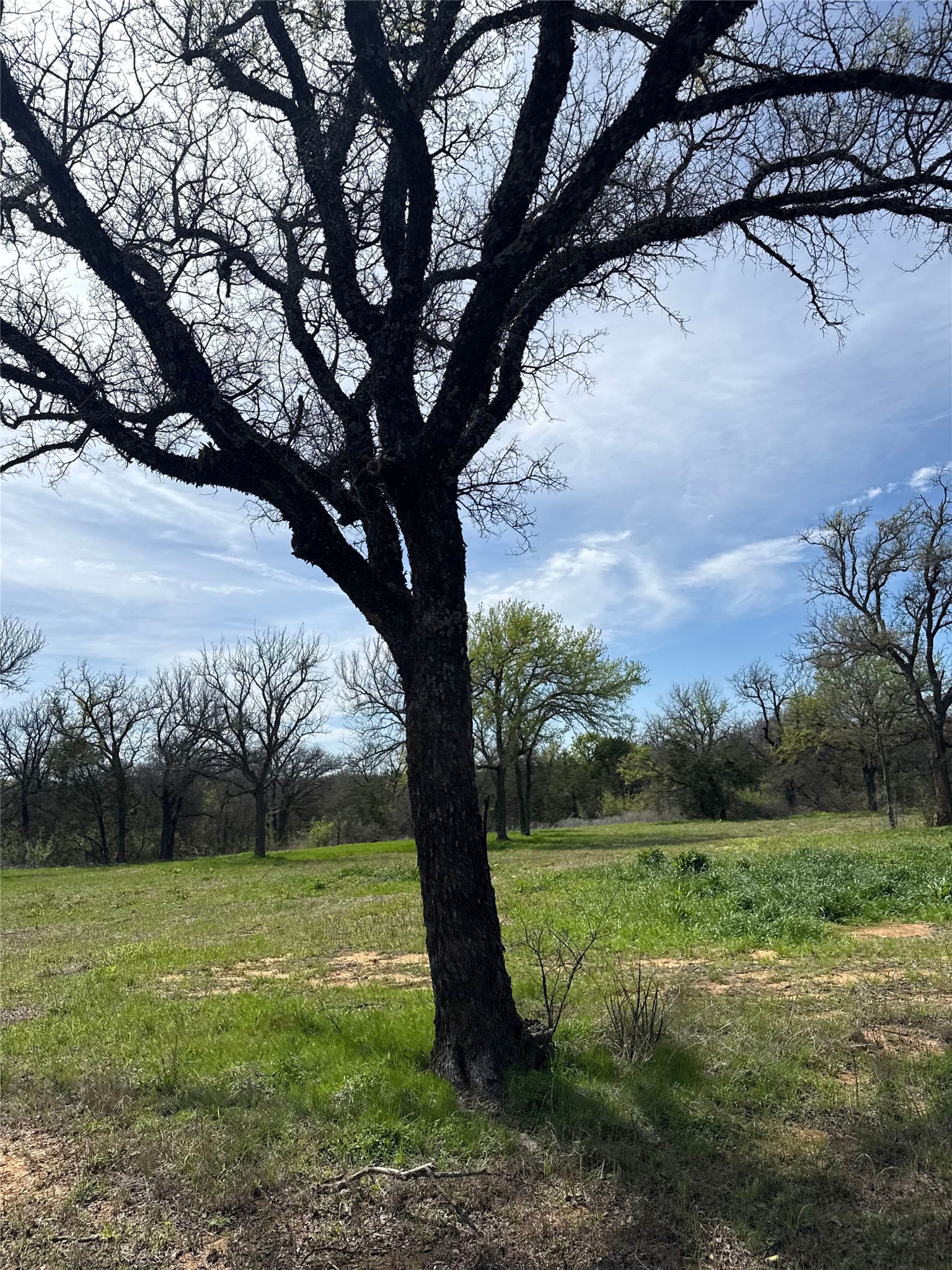 0 S Highway 281 Mineral Wells TX 76067