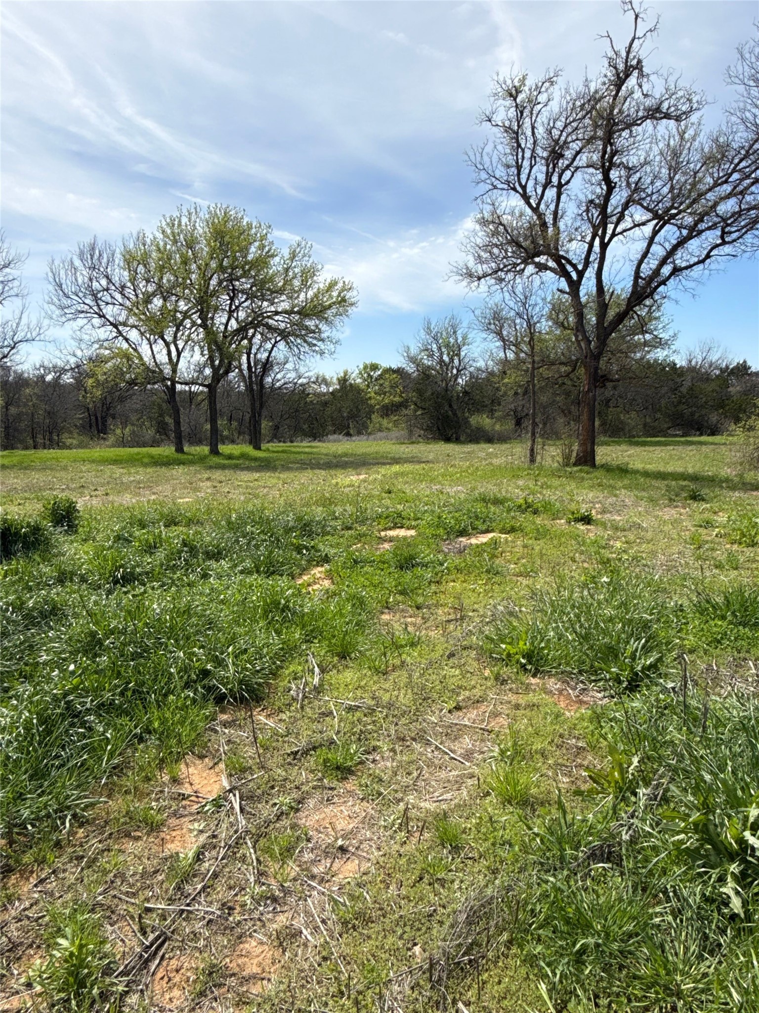 0 S Highway 281 Mineral Wells TX 76067