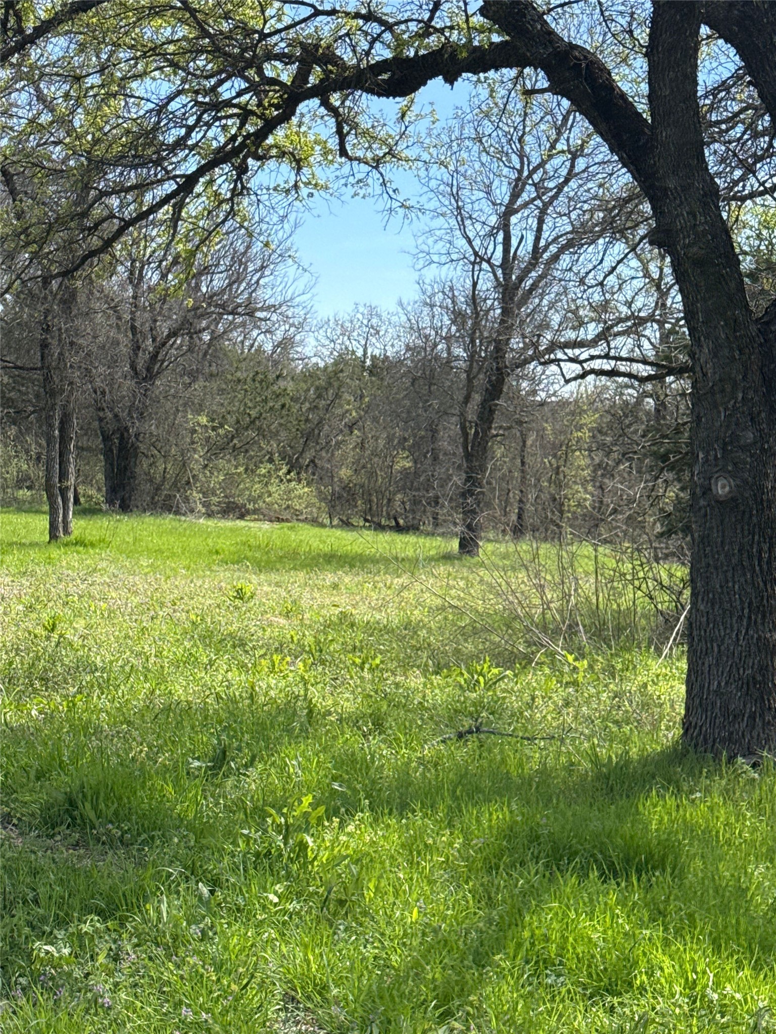 0 S Highway 281 Mineral Wells TX 76067