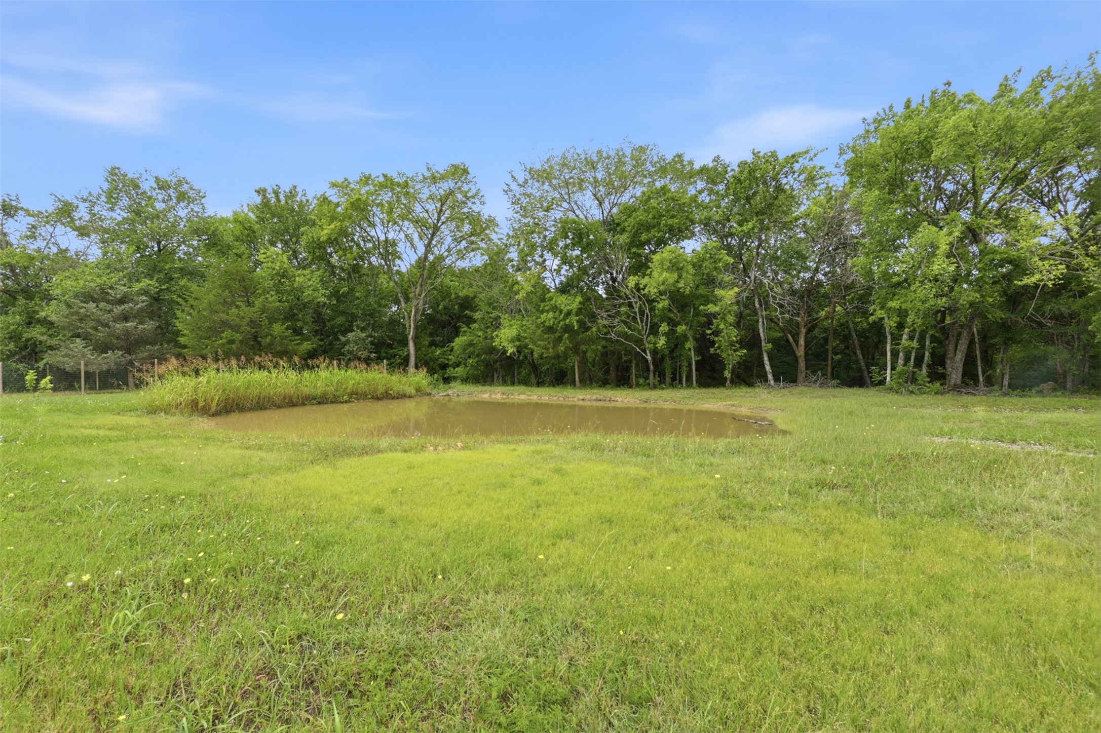 237 County Road 4927 Trenton TX 75490