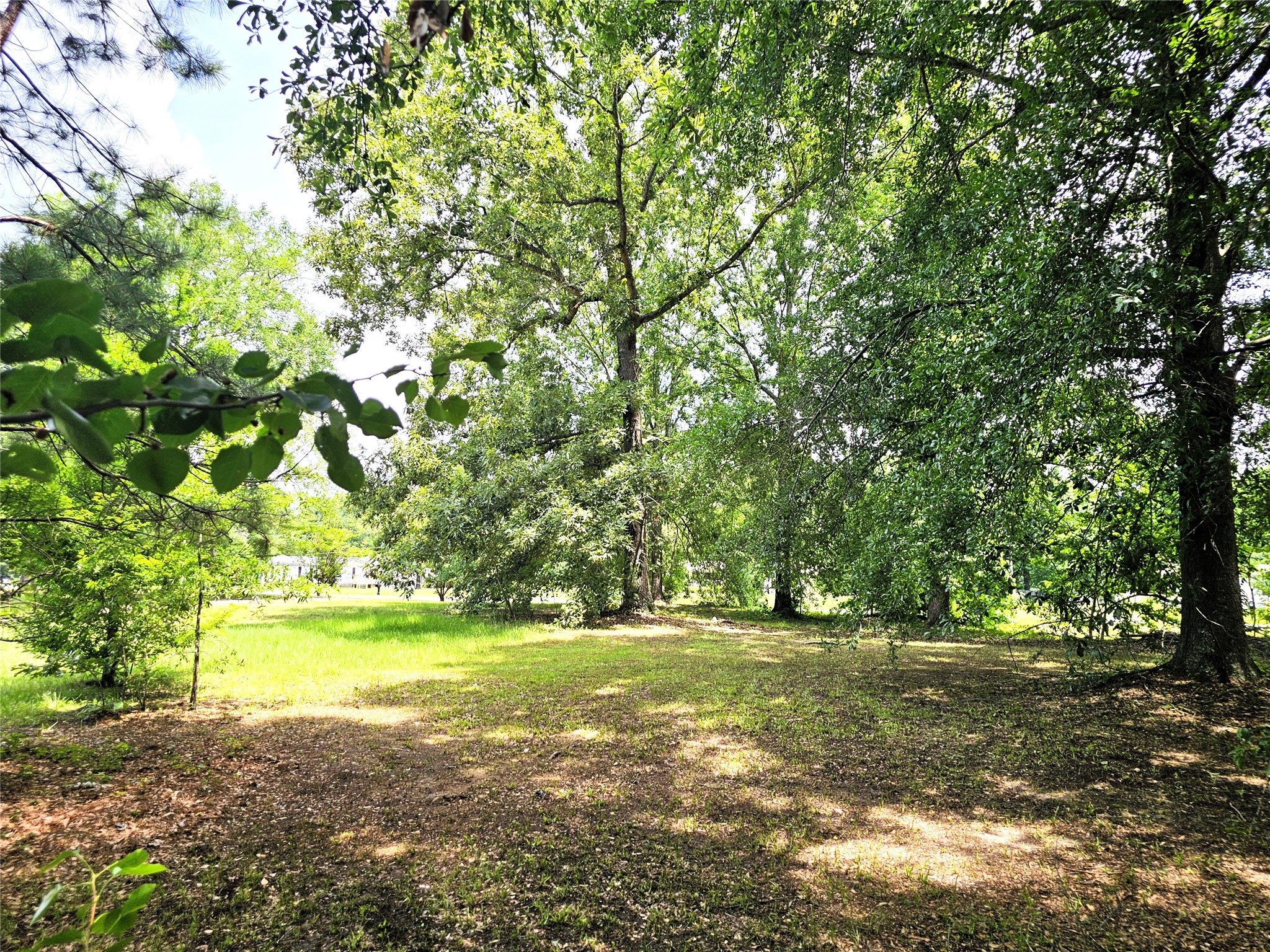 12910 Springhaven Drive Keithville LA 71047