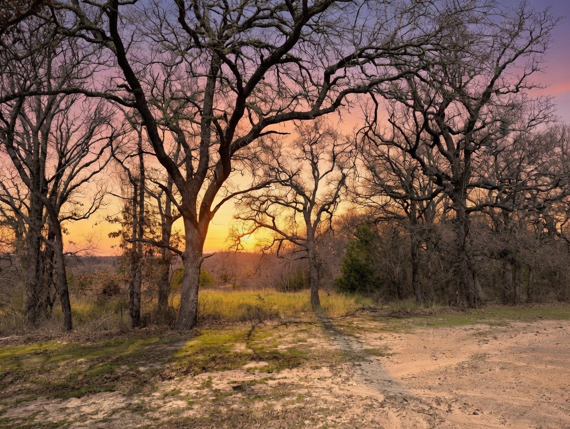 550 County Road 343 Forestburg TX 76239