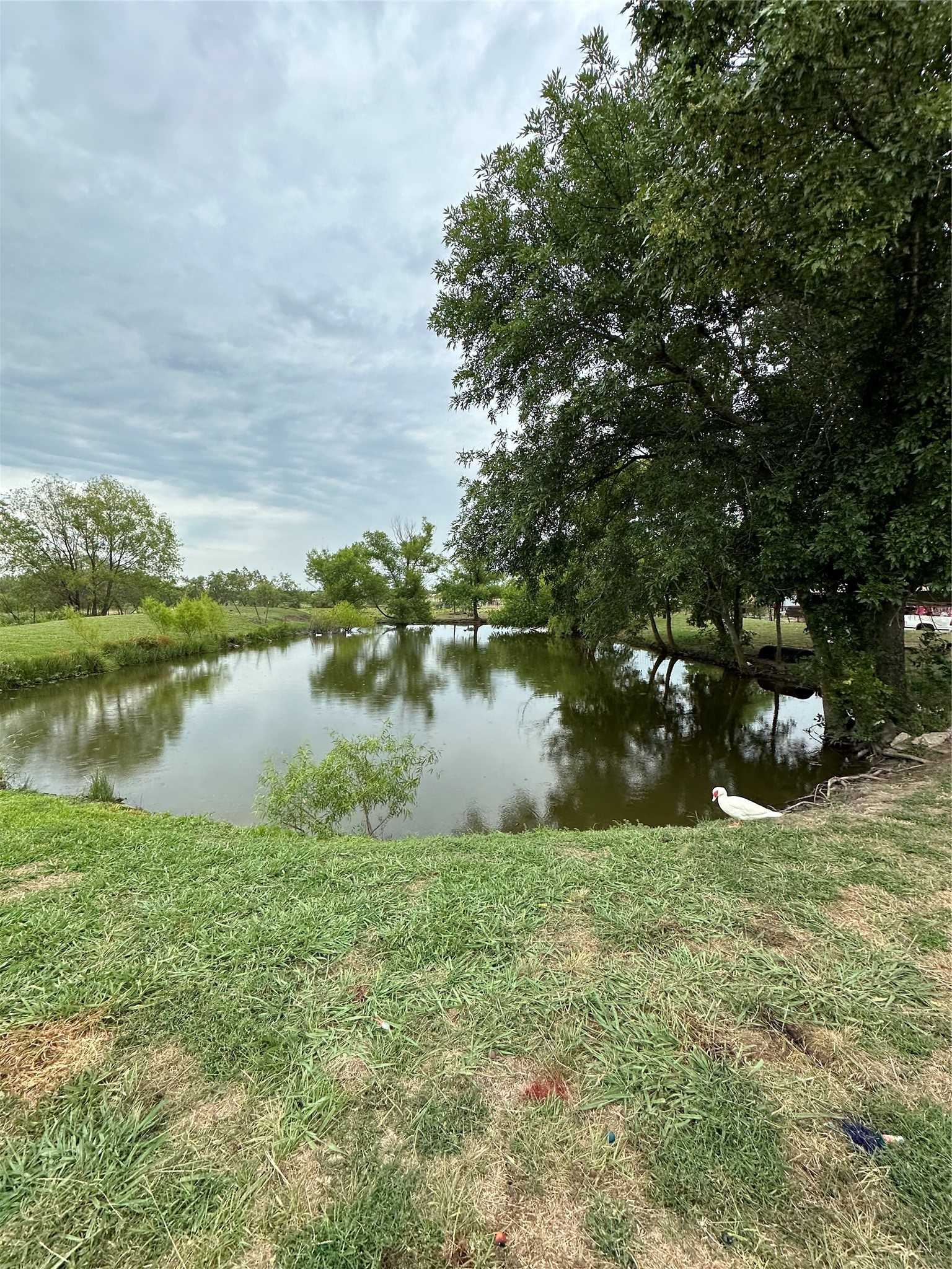 1074 County Road 142 Kaufman TX 75142