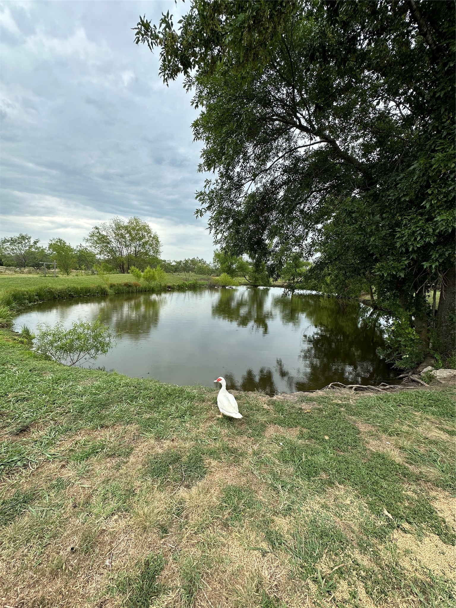 1074 County Road 142 Kaufman TX 75142