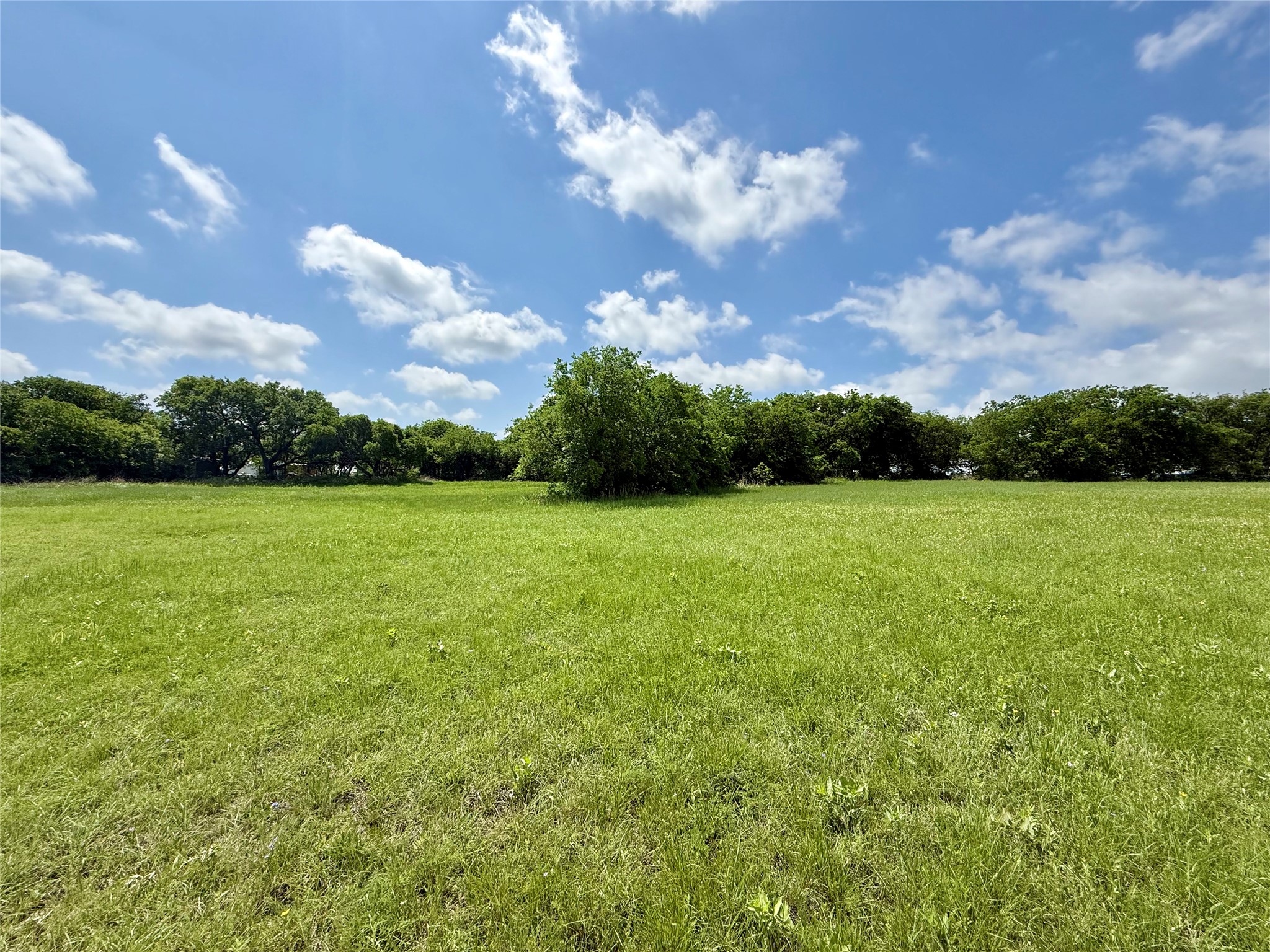 18086 Brookfield Drive Justin TX 76247