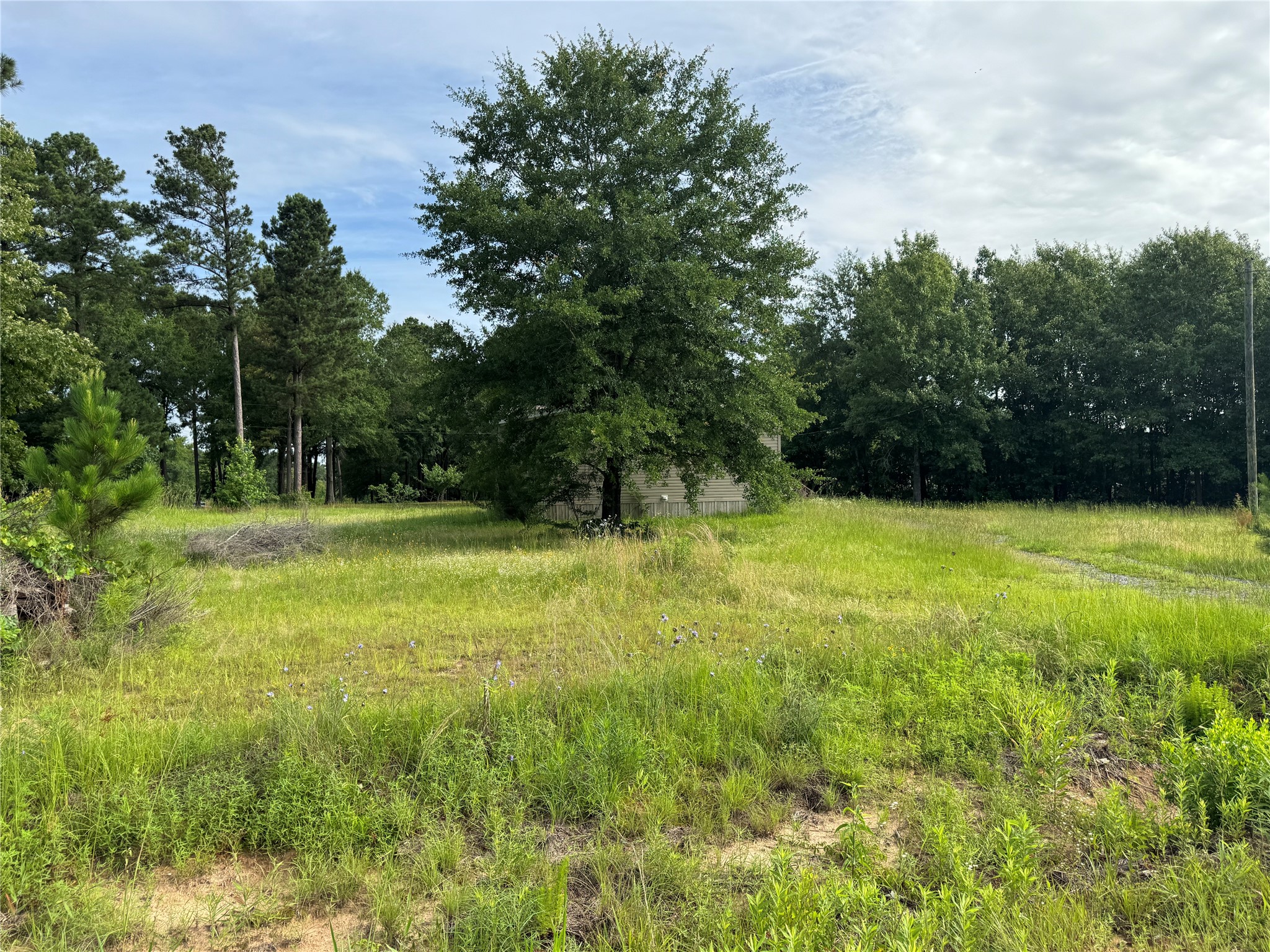 10015 Woolworth Road Keithville LA 71047