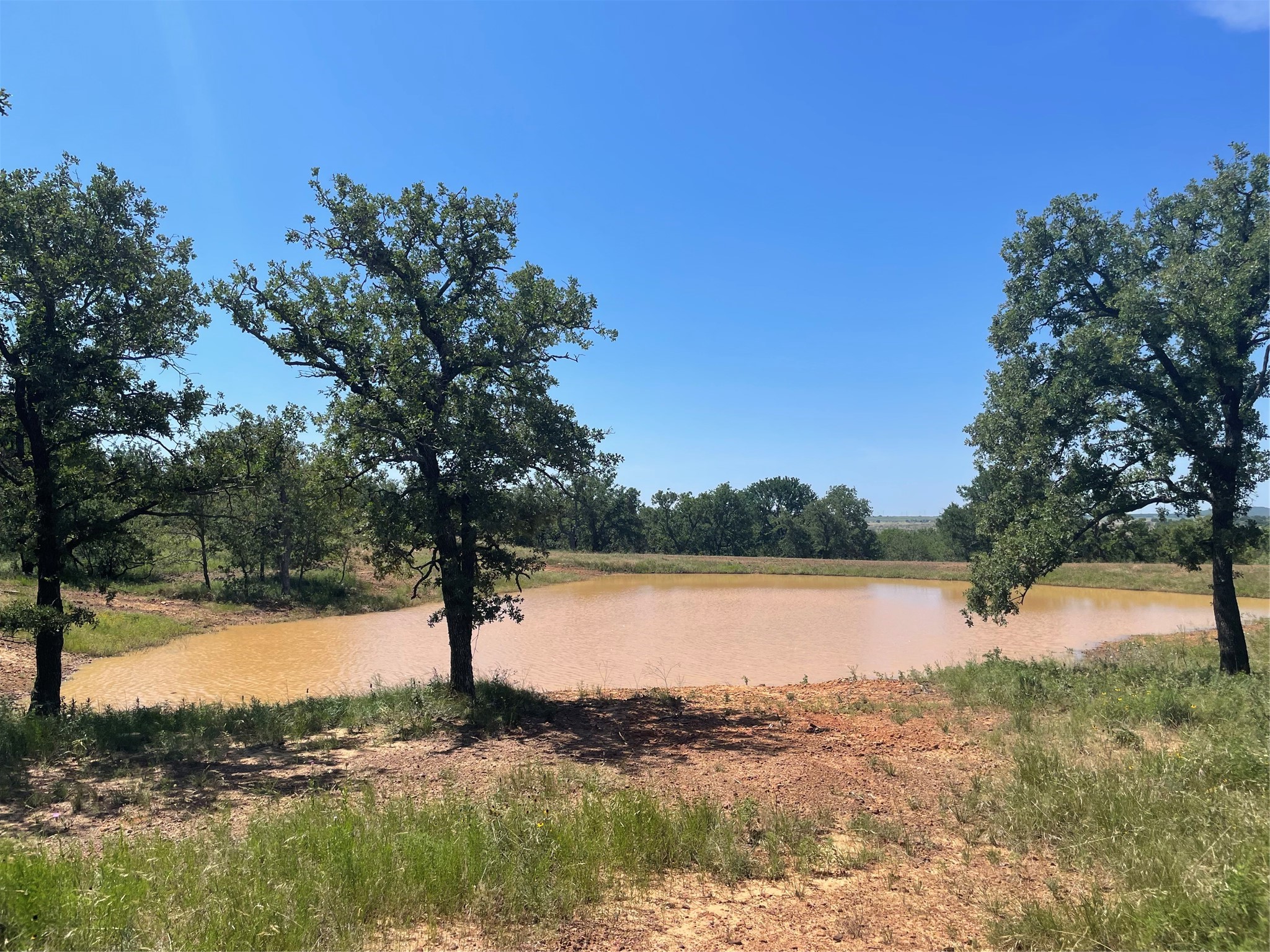 13100 Us 281 North Jacksboro TX 76458