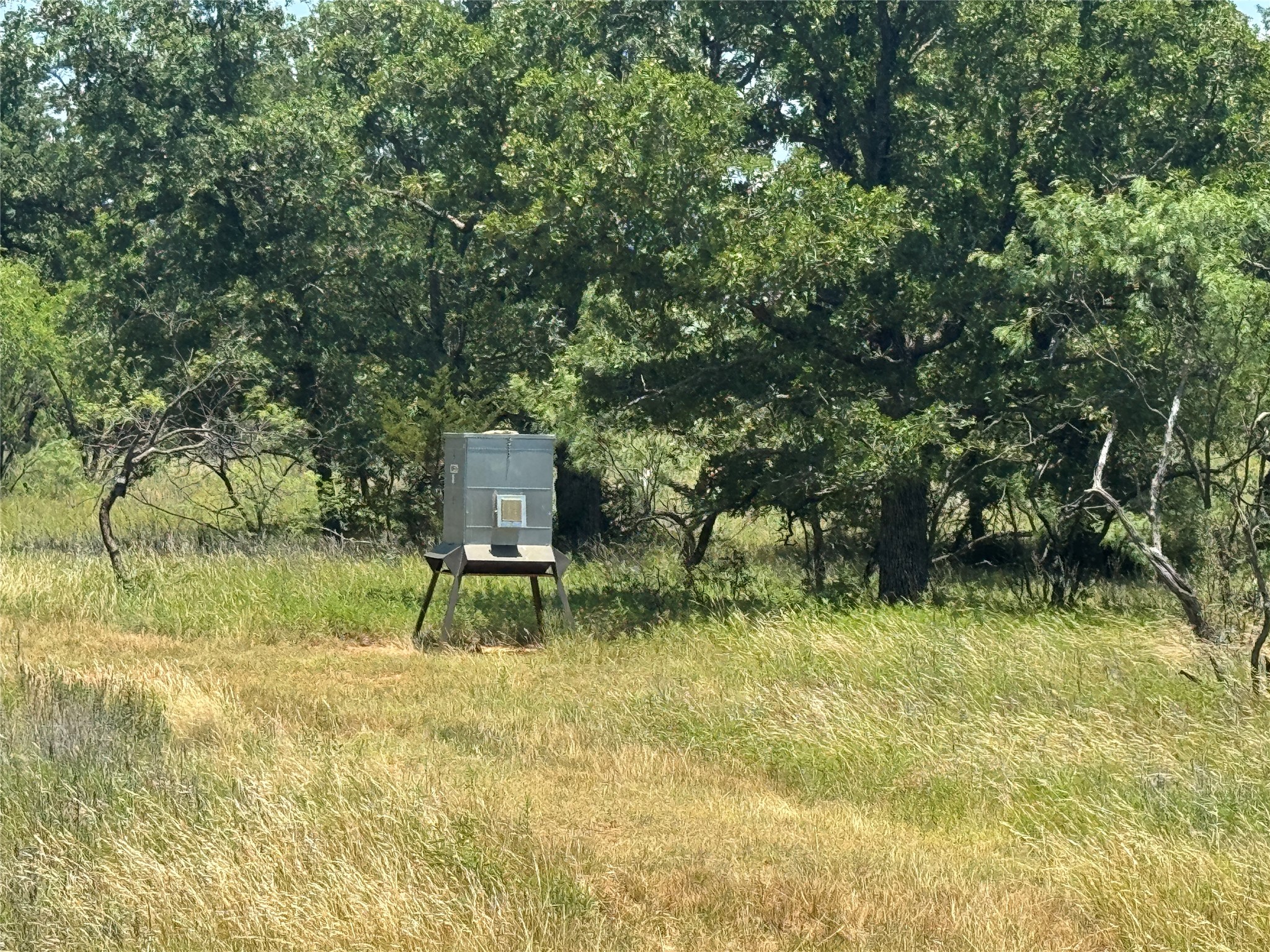13100 Us 281 North Jacksboro TX 76458