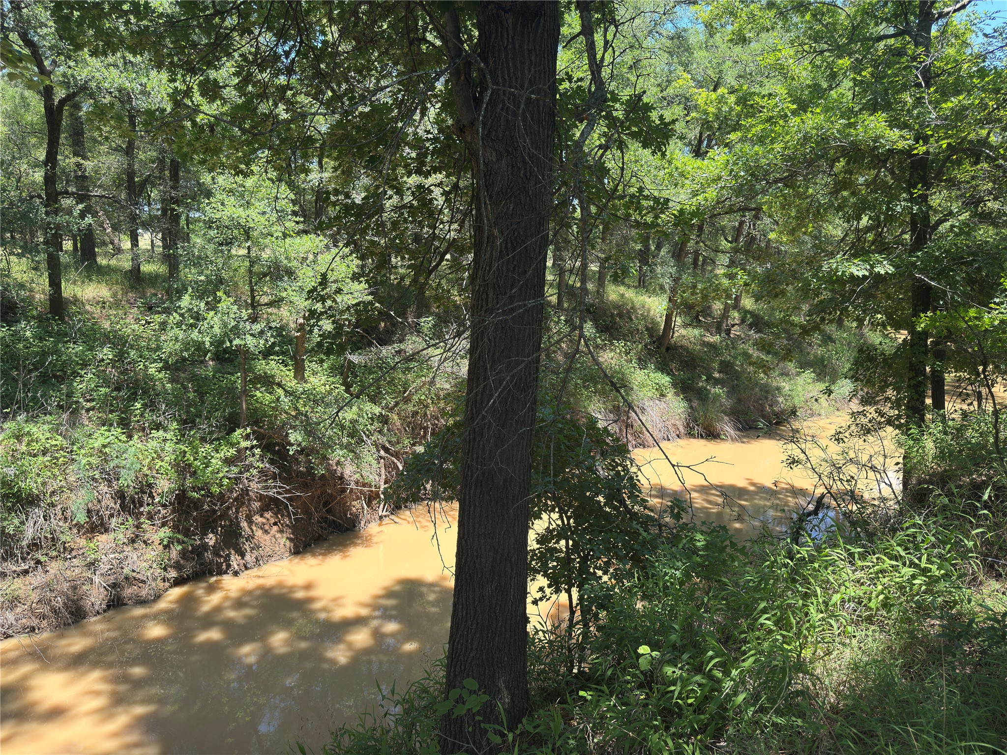 13100 Us 281 North Jacksboro TX 76458