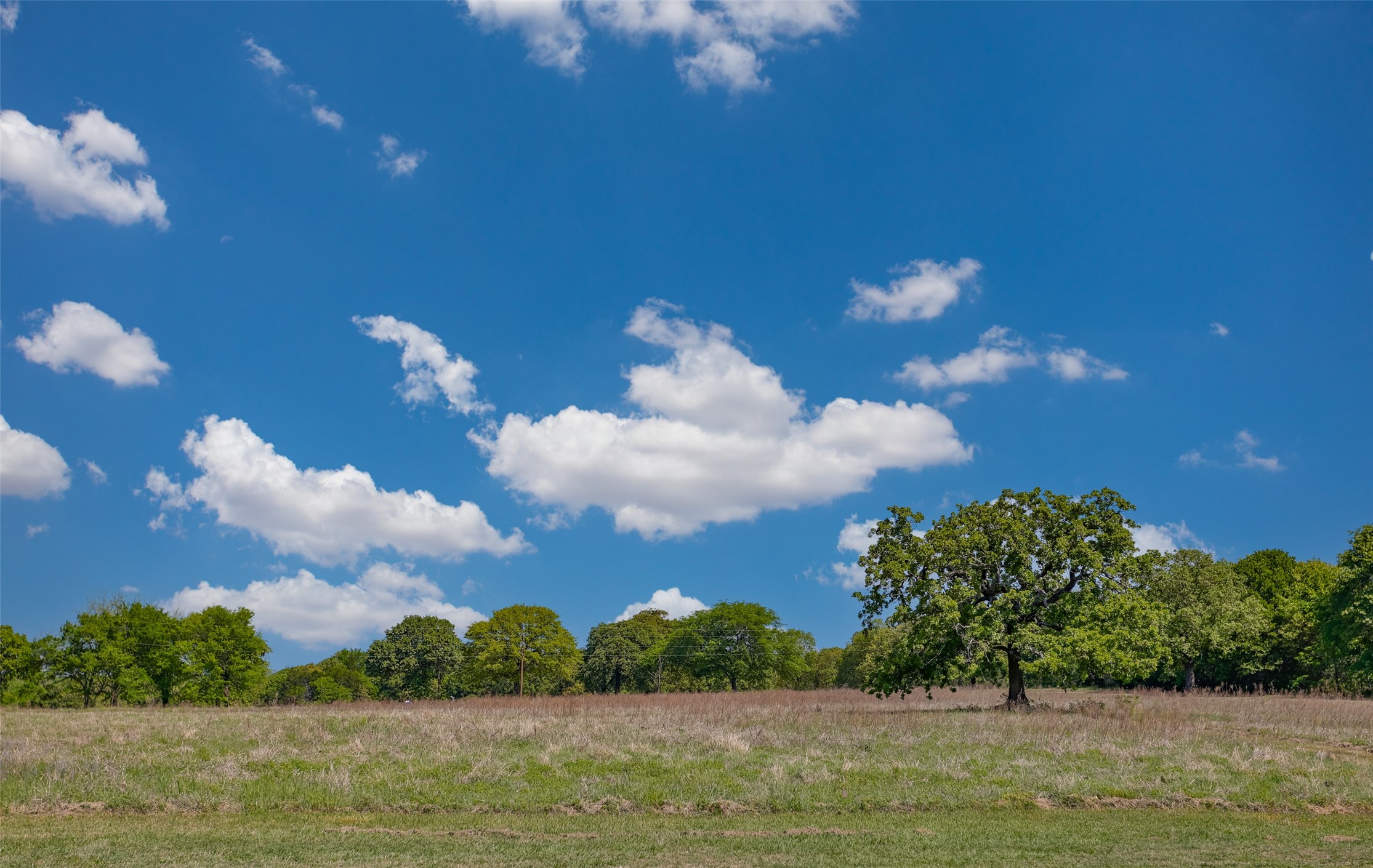 542 County Road 222 Gainesville TX 76240