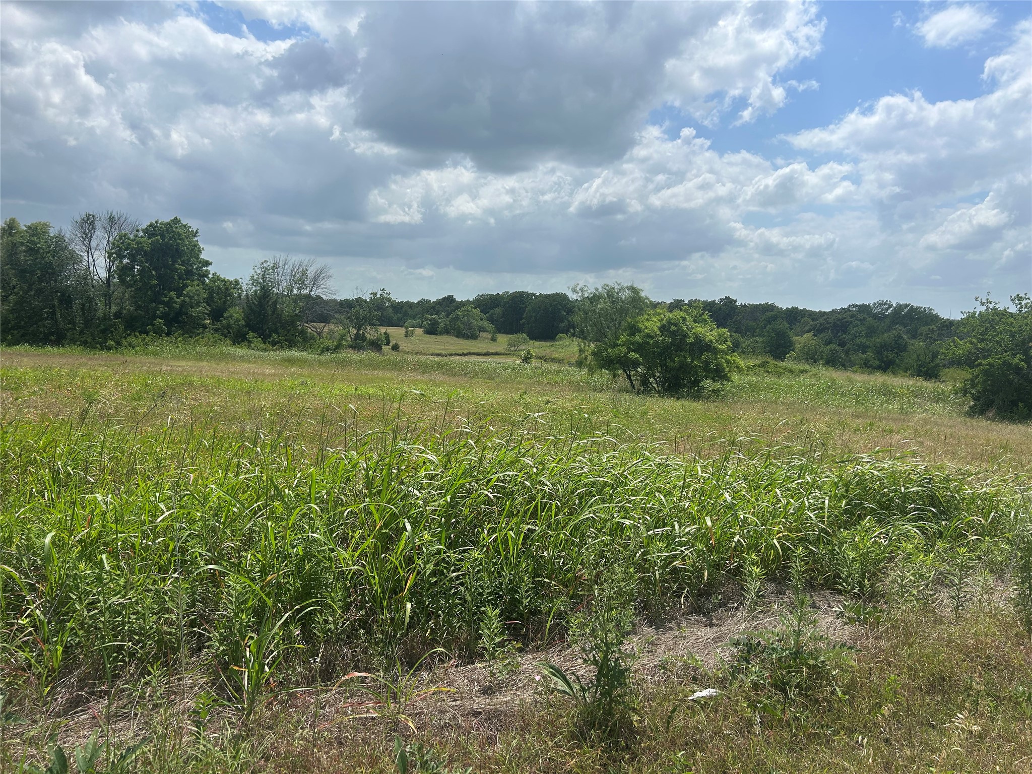 2517 Sh 31 Hubbard TX 76648