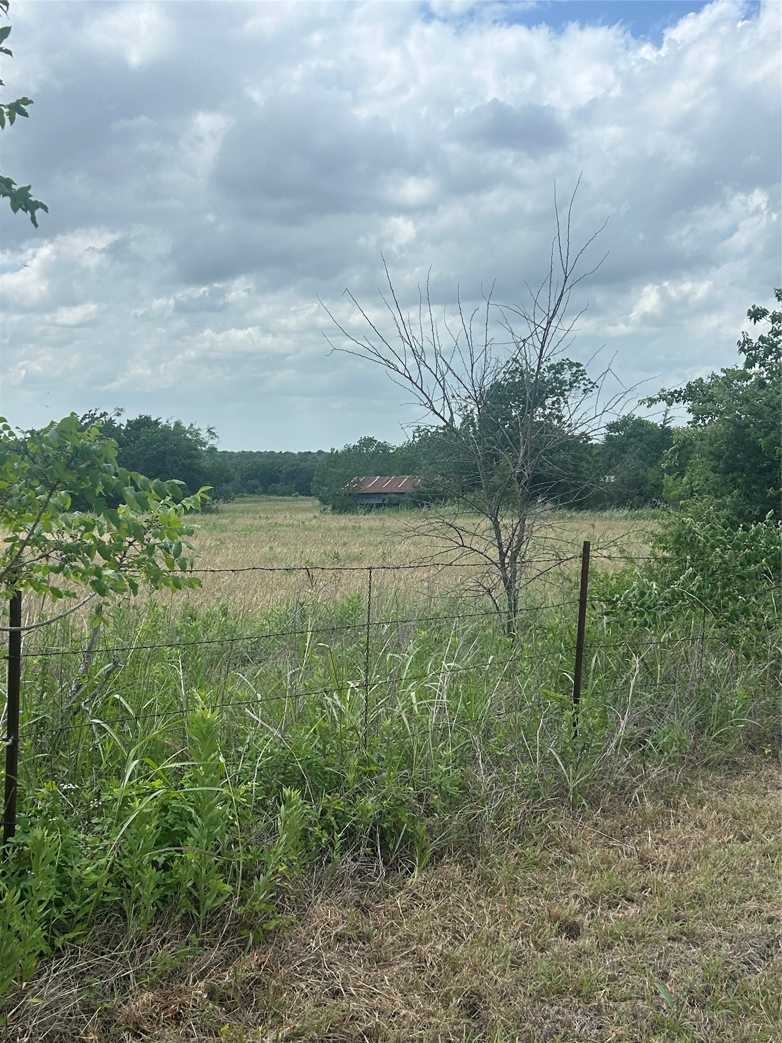 2517 Sh 31 Hubbard TX 76648