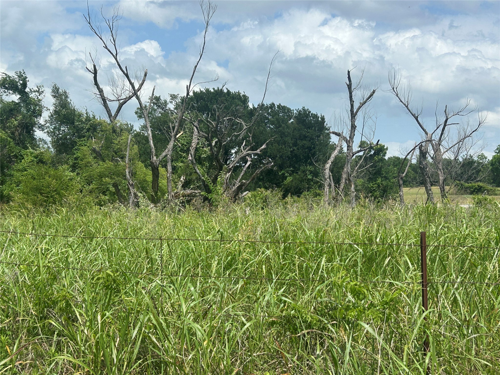 2517 Sh 31 Hubbard TX 76648