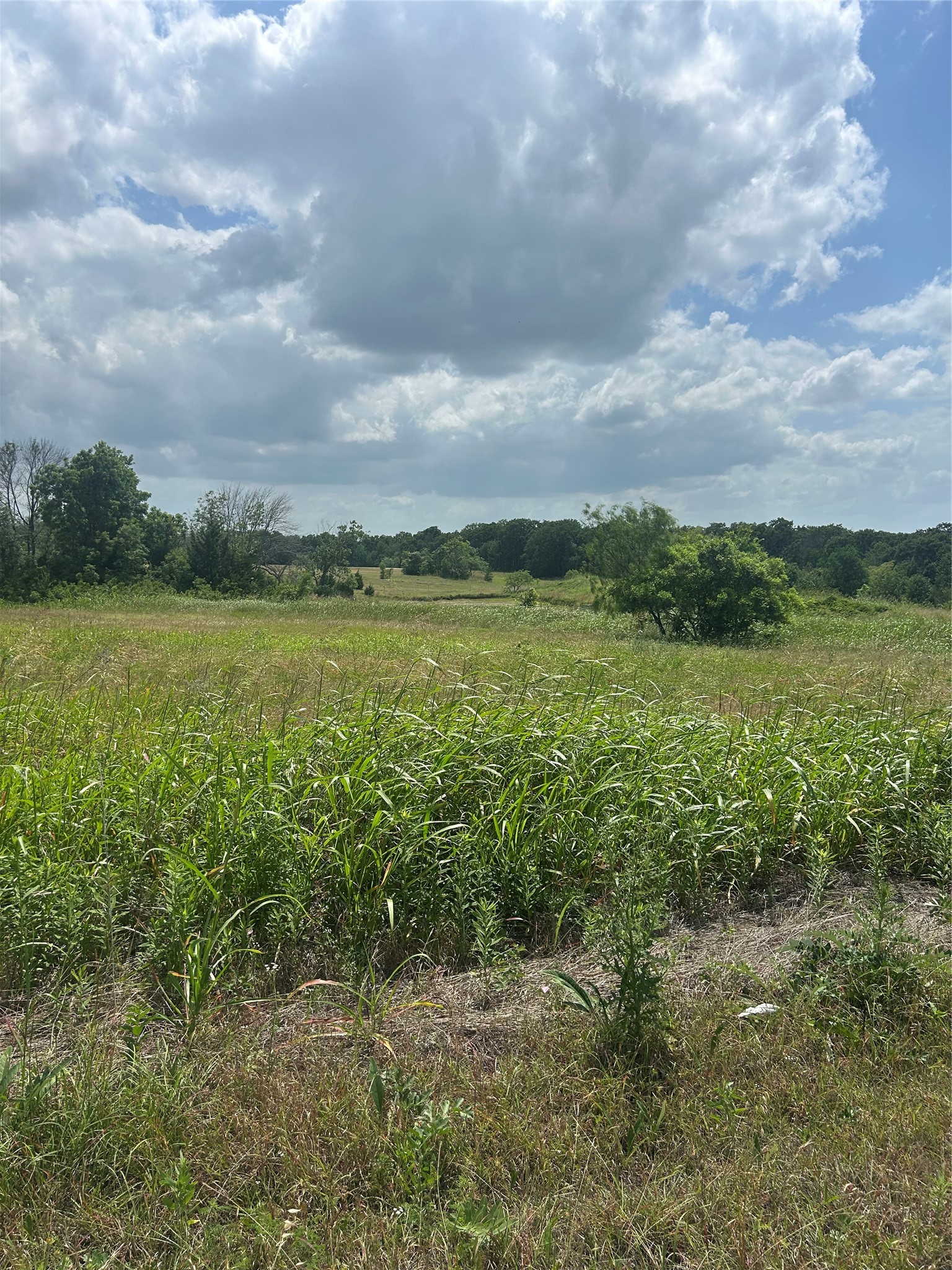 2517 Sh 31 Hubbard TX 76648