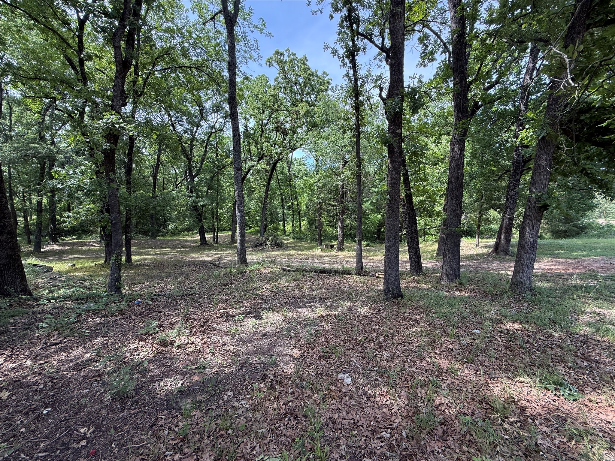 148 Indian Gap Drive Mabank TX 75156