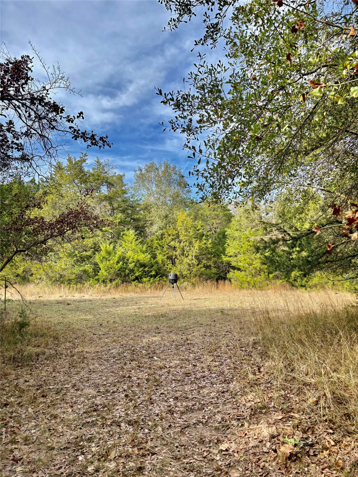 184 Fcr 941 Teague TX 75860