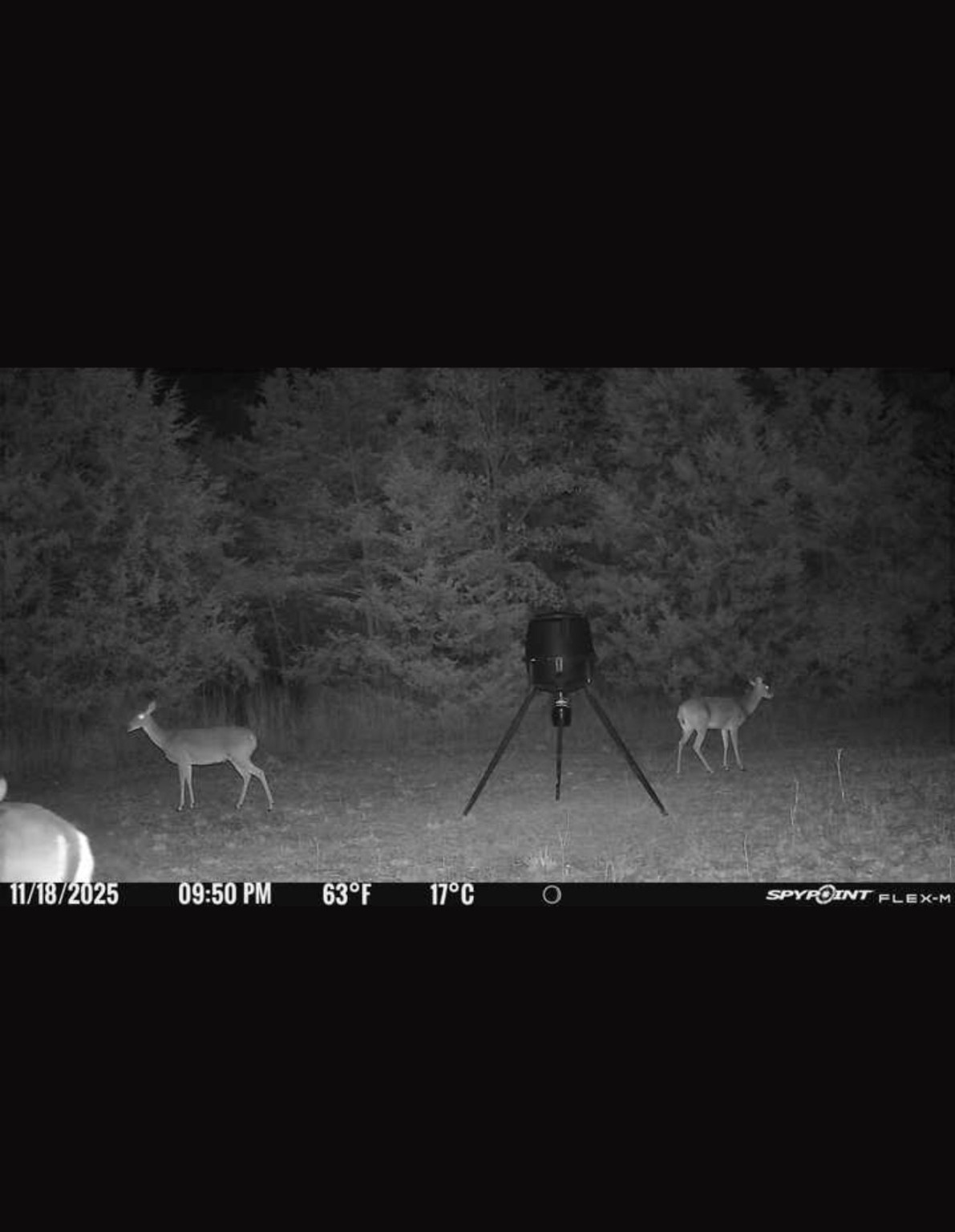 184 Fcr 941 Teague TX 75860