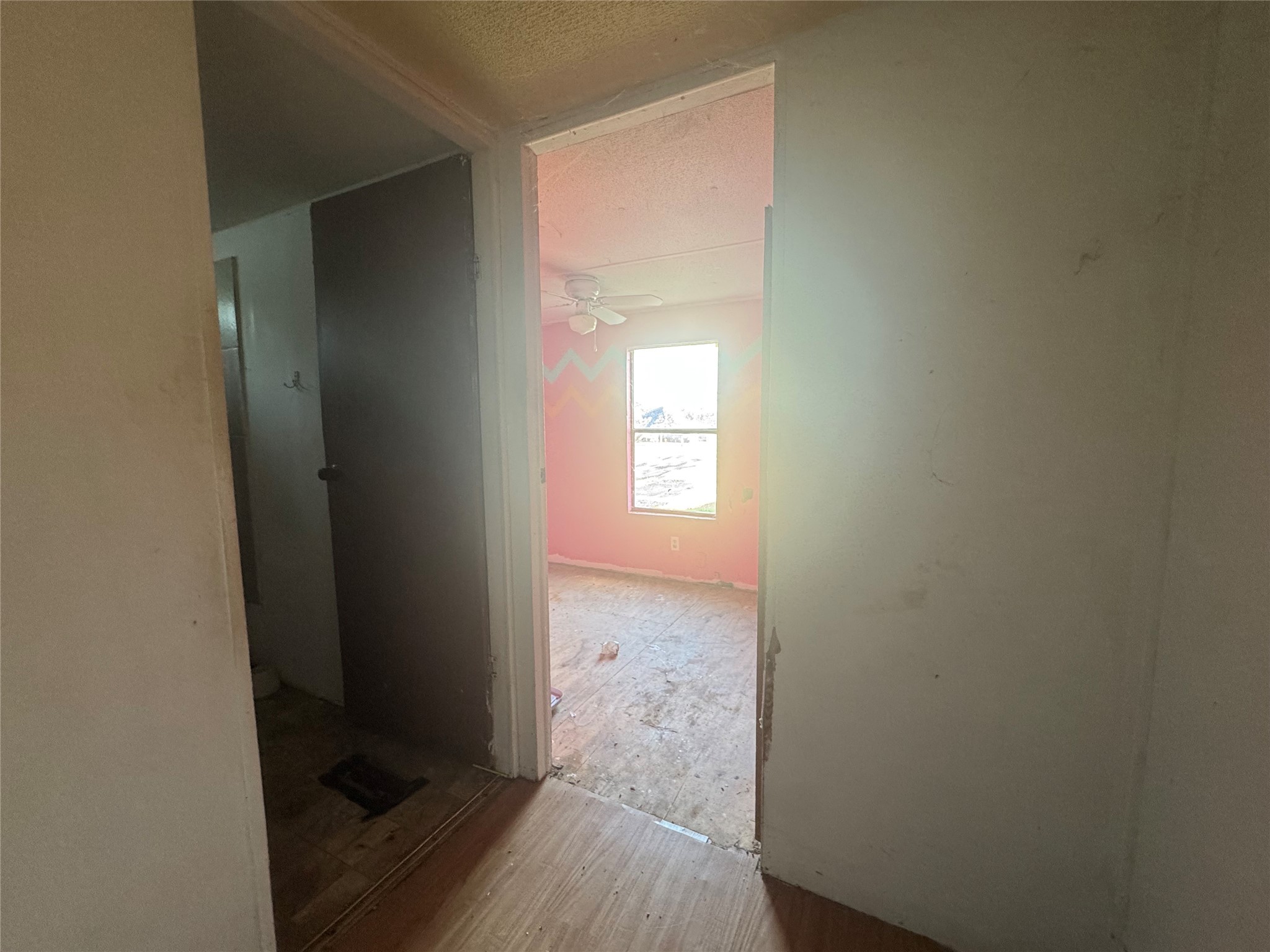315 S Kennedy Street Penelope TX 76676