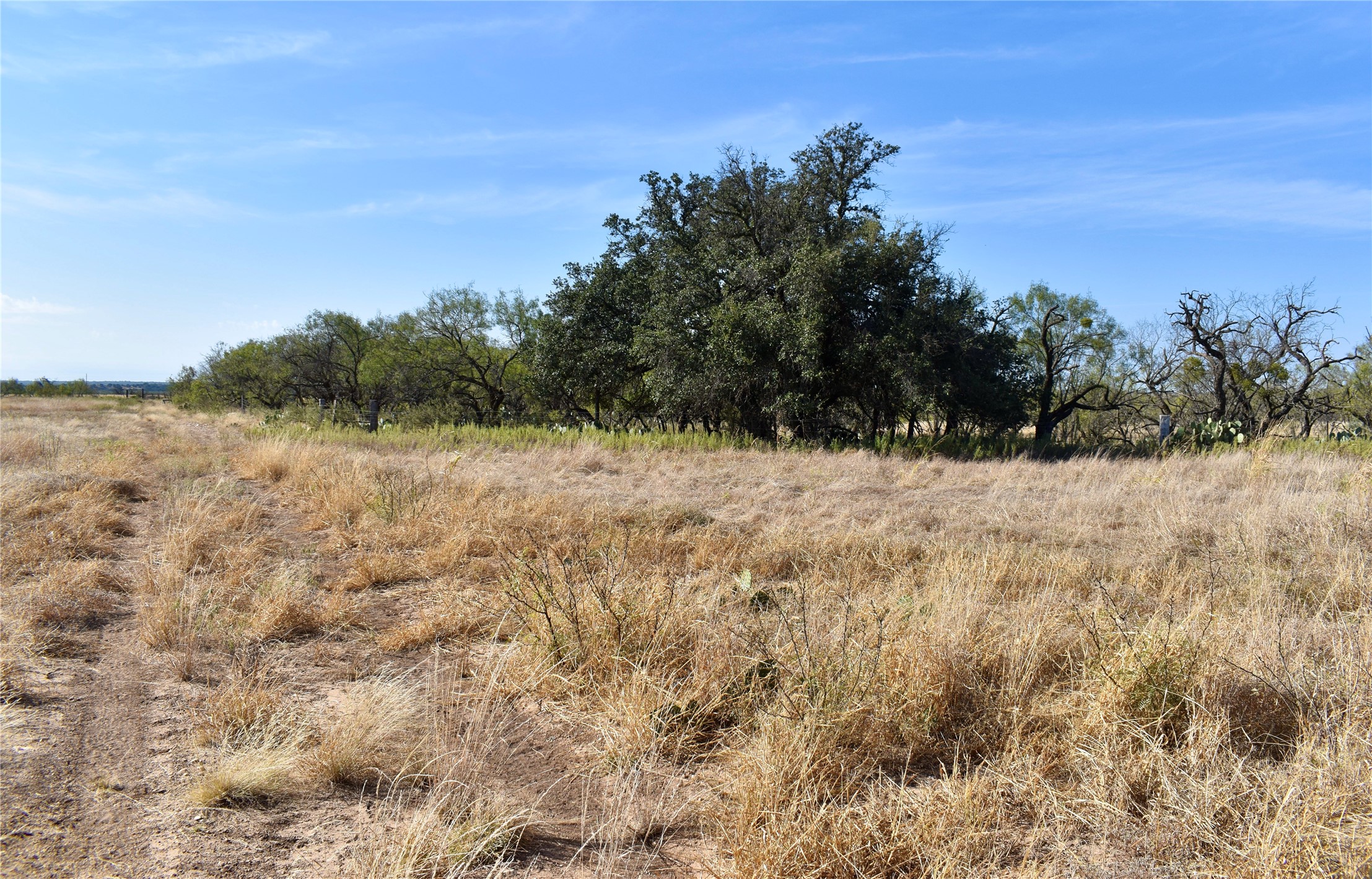 85 Pr 527 Brady TX 76858