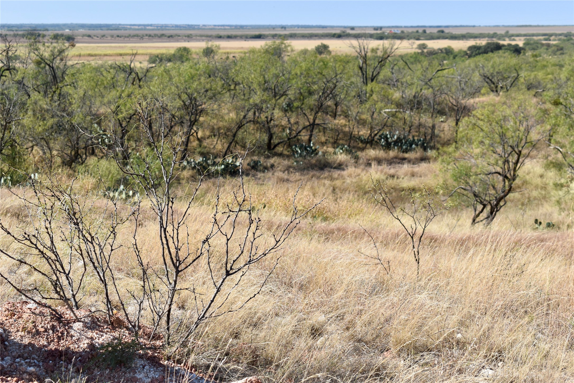 85 Pr 527 Brady TX 76858