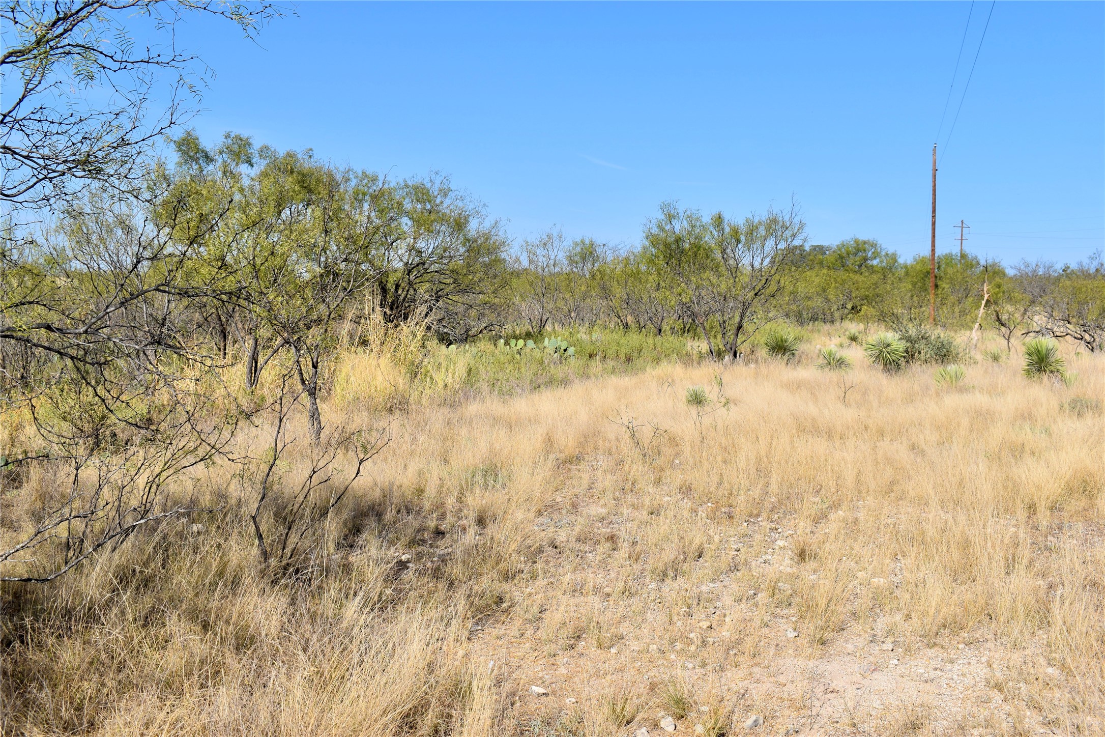 85 Pr 527 Brady TX 76858