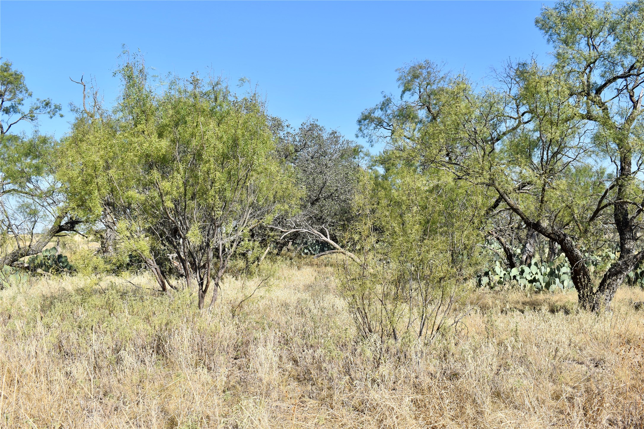85 Pr 527 Brady TX 76858