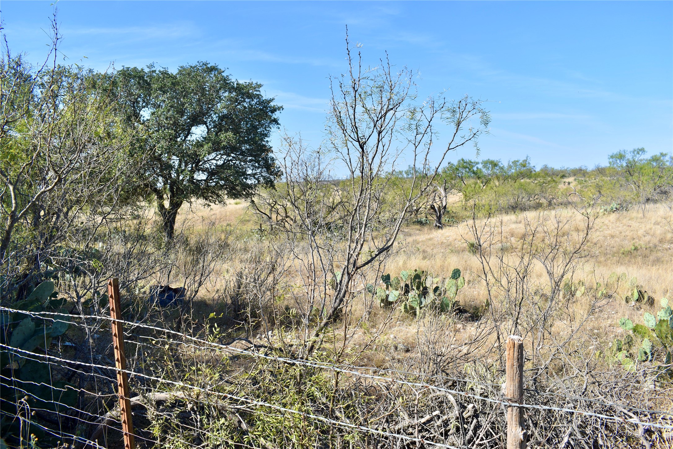 85 Pr 527 Brady TX 76858