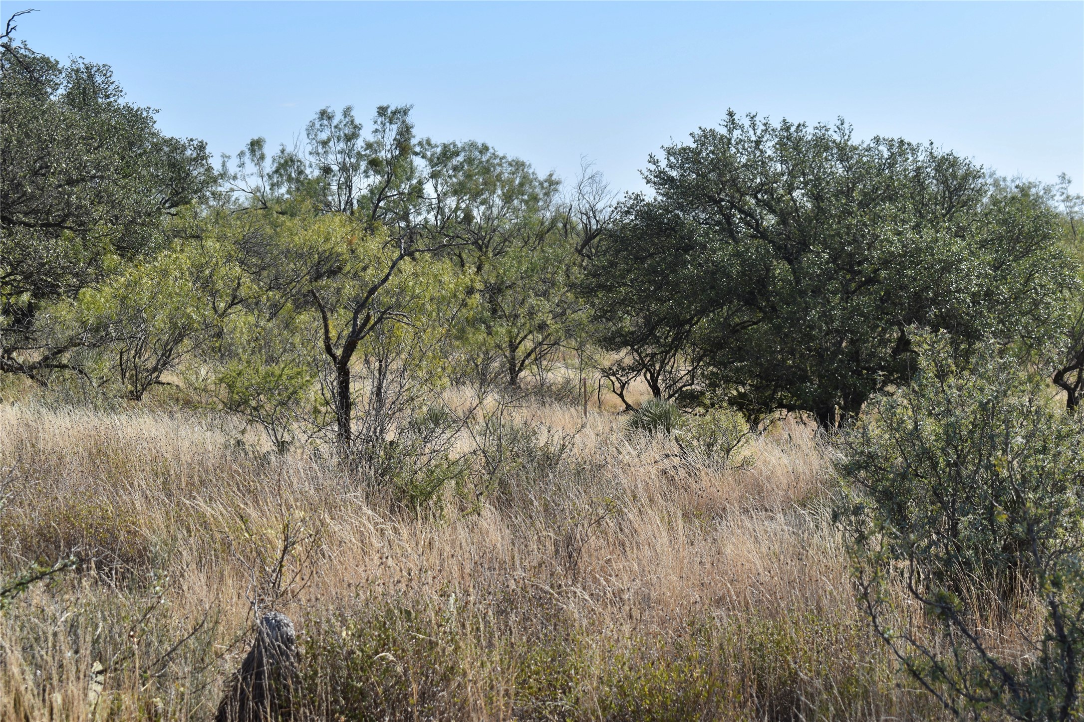 85 Pr 527 Brady TX 76858