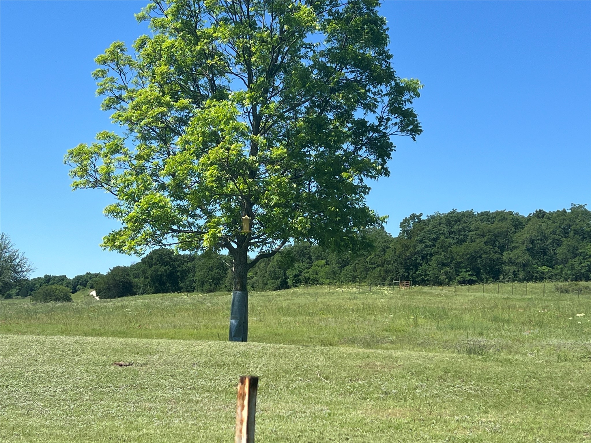 0000 Holland Forestburg TX 76239