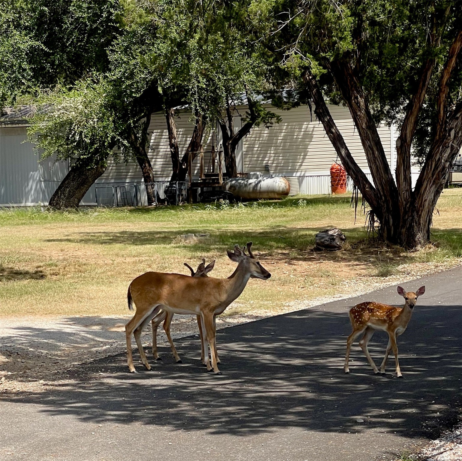 2334 Sanbar Road Possum Kingdom Lake TX 76449