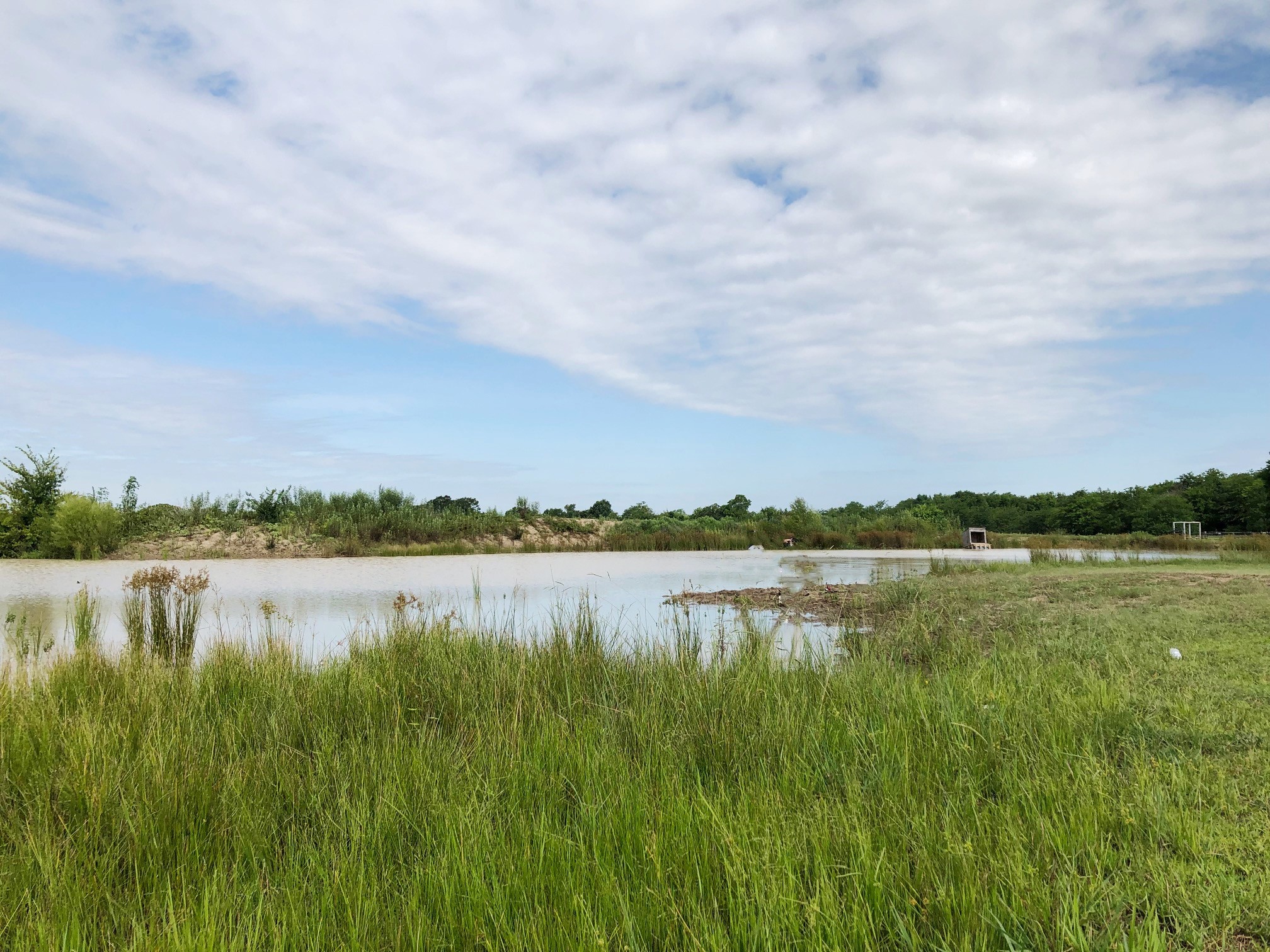 272 County Road 2062 Klondike TX 75448