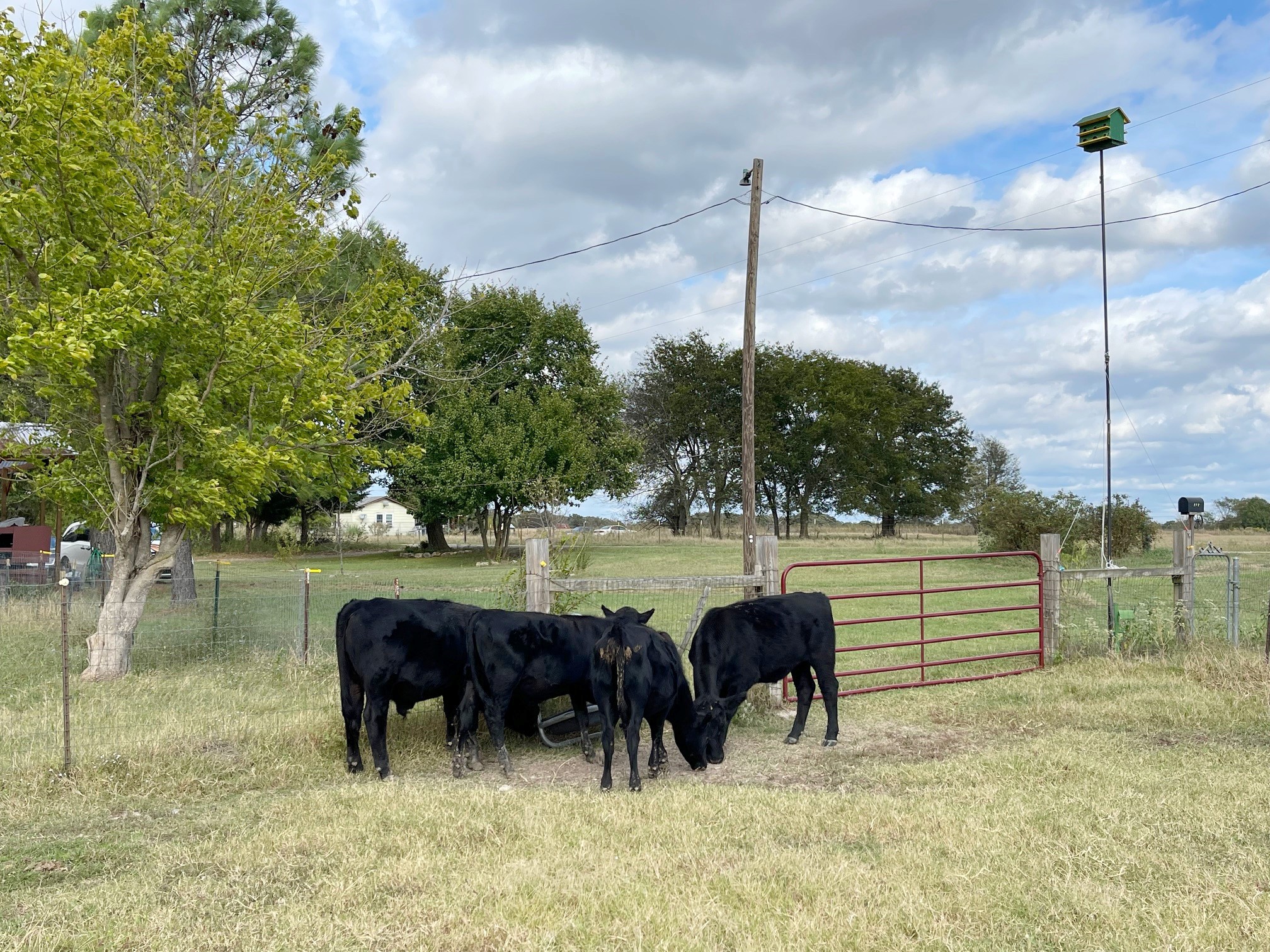 272 County Road 2062 Klondike TX 75448