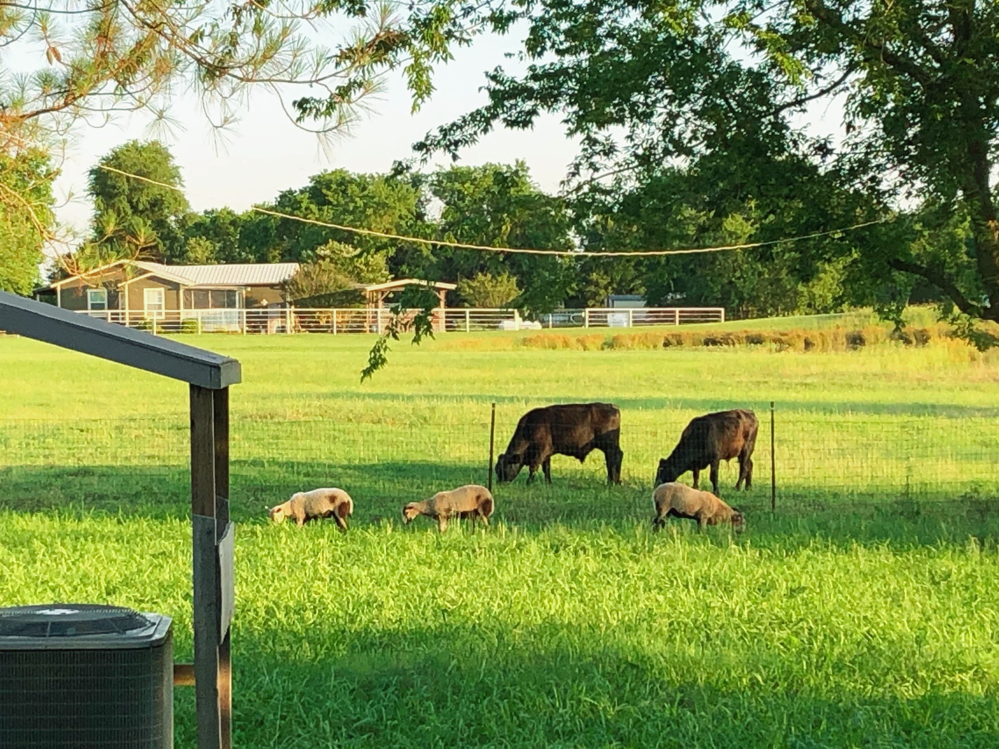272 County Road 2062 Klondike TX 75448