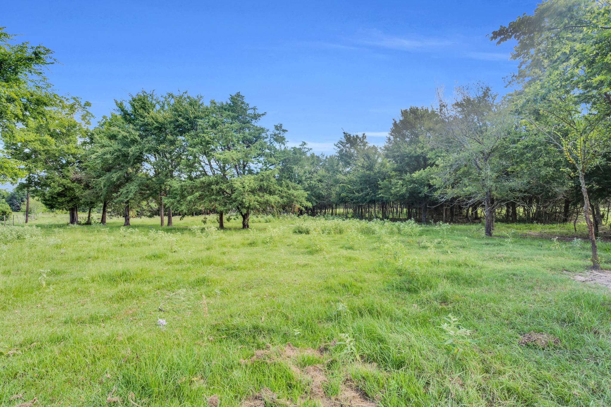 379 Fm 80 S Teague TX 75860