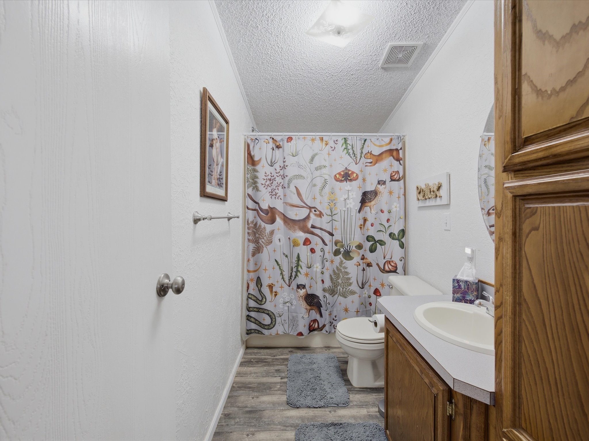 304 Catfish Trail Bowie TX 76230