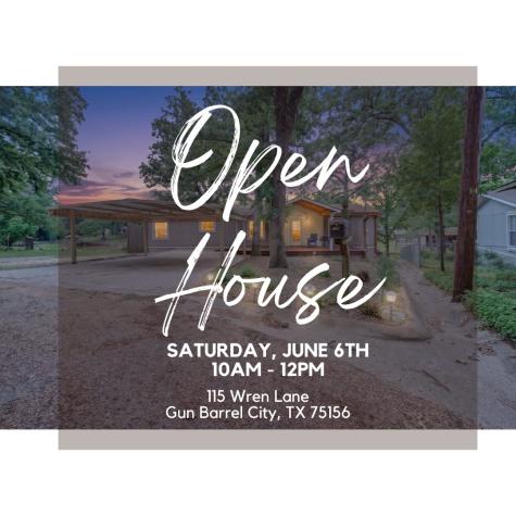 115 Wren Lane Gun Barrel City TX 75156